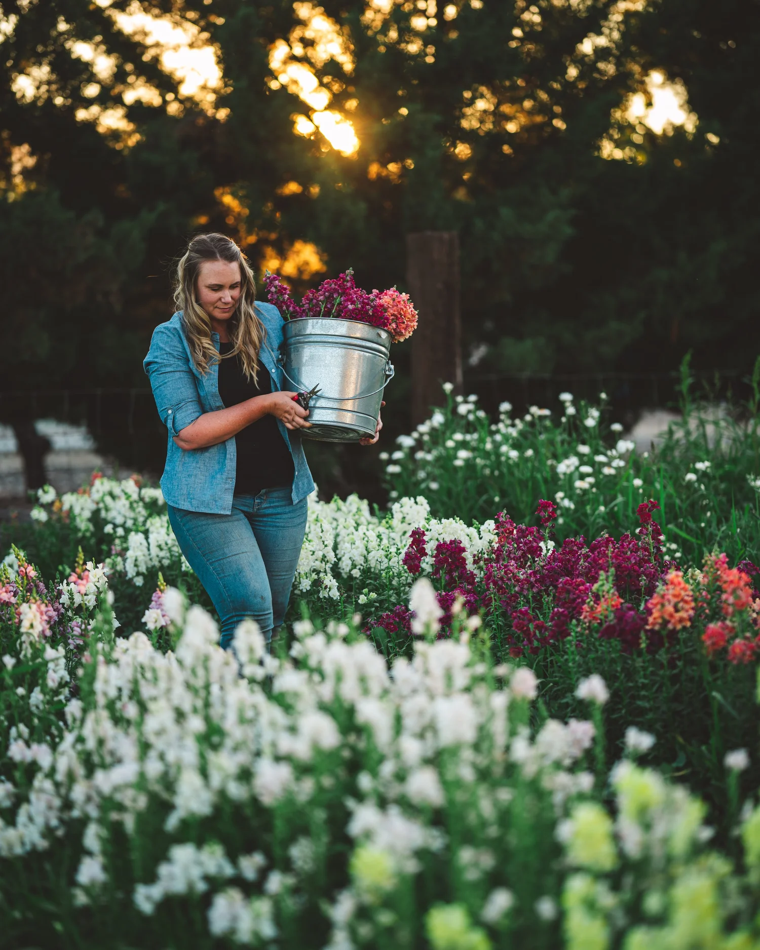 Guide to Transplanting Flowers Successfully: Expert Tips & Tricks