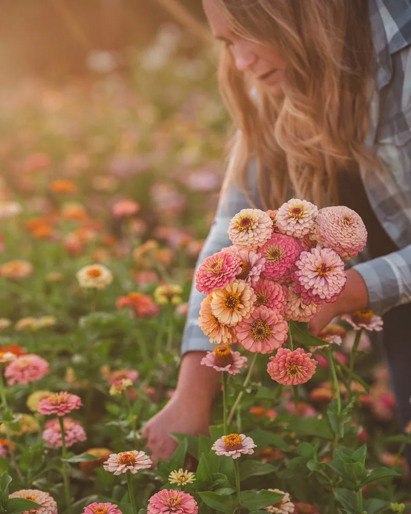 ADVICE FOR FIRST-YEAR FLOWER FARMERS