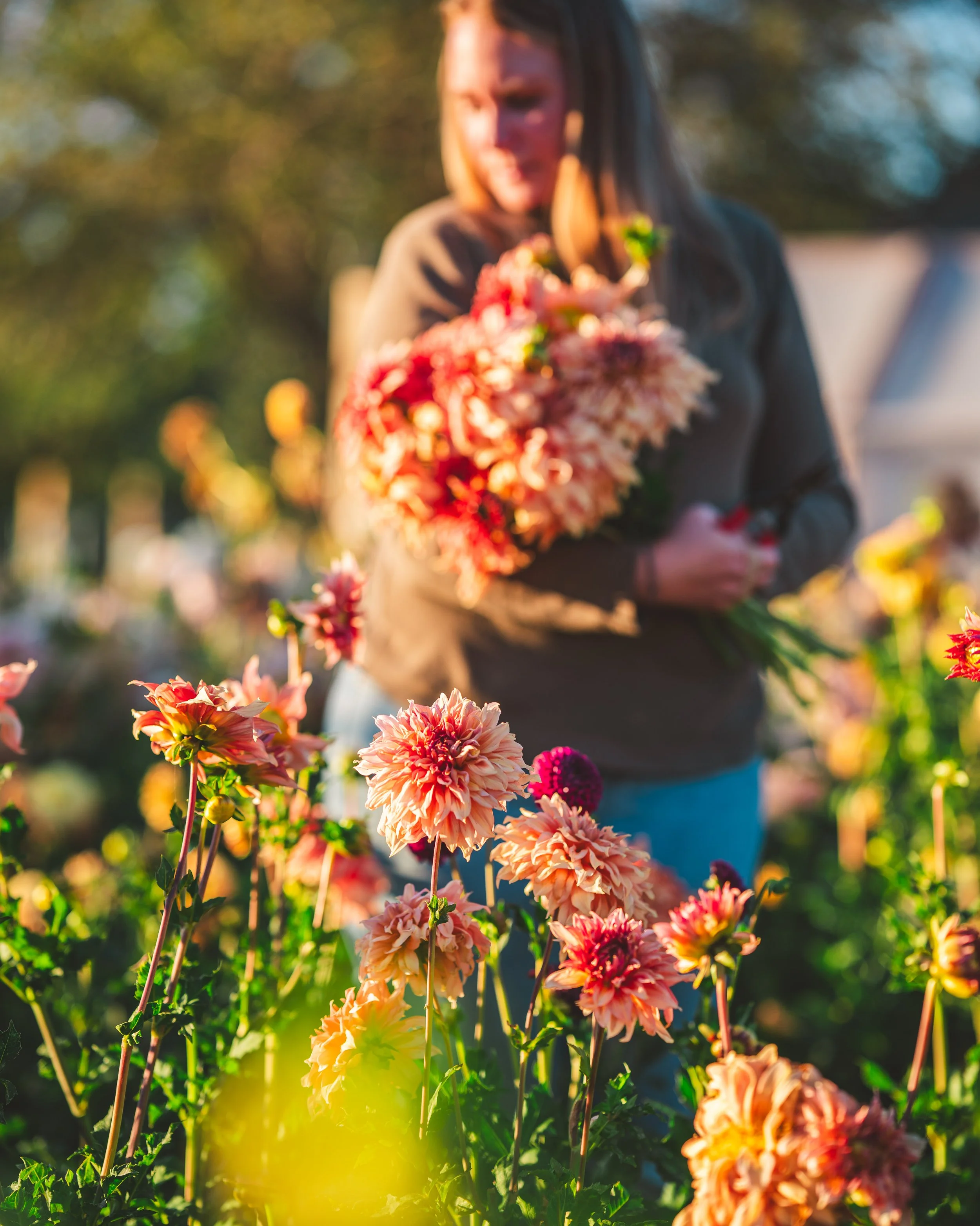 Gift Guide for Flower Farmers, Gardeners &amp; Flower Lovers