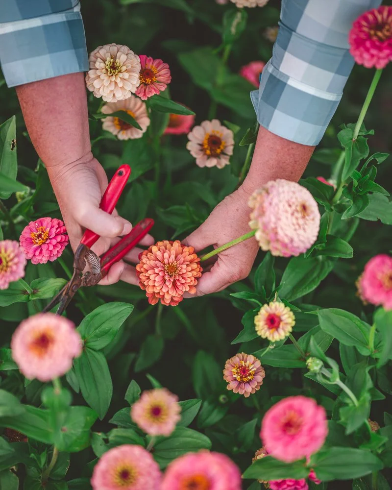 Gift Guide for Flower Farmers, Gardeners &amp; Flower Lovers