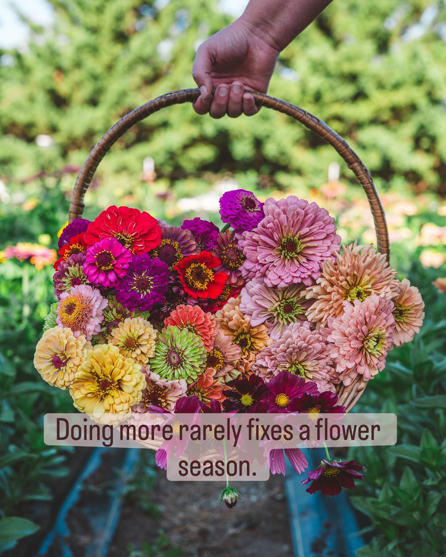 These quieter days often make the best space to step back and look honestly at the season behind you.

Not just what you grew &mdash; but what sold, what didn&rsquo;t, and where the real currency of your time, energy, and money was spent.

There&rsqu