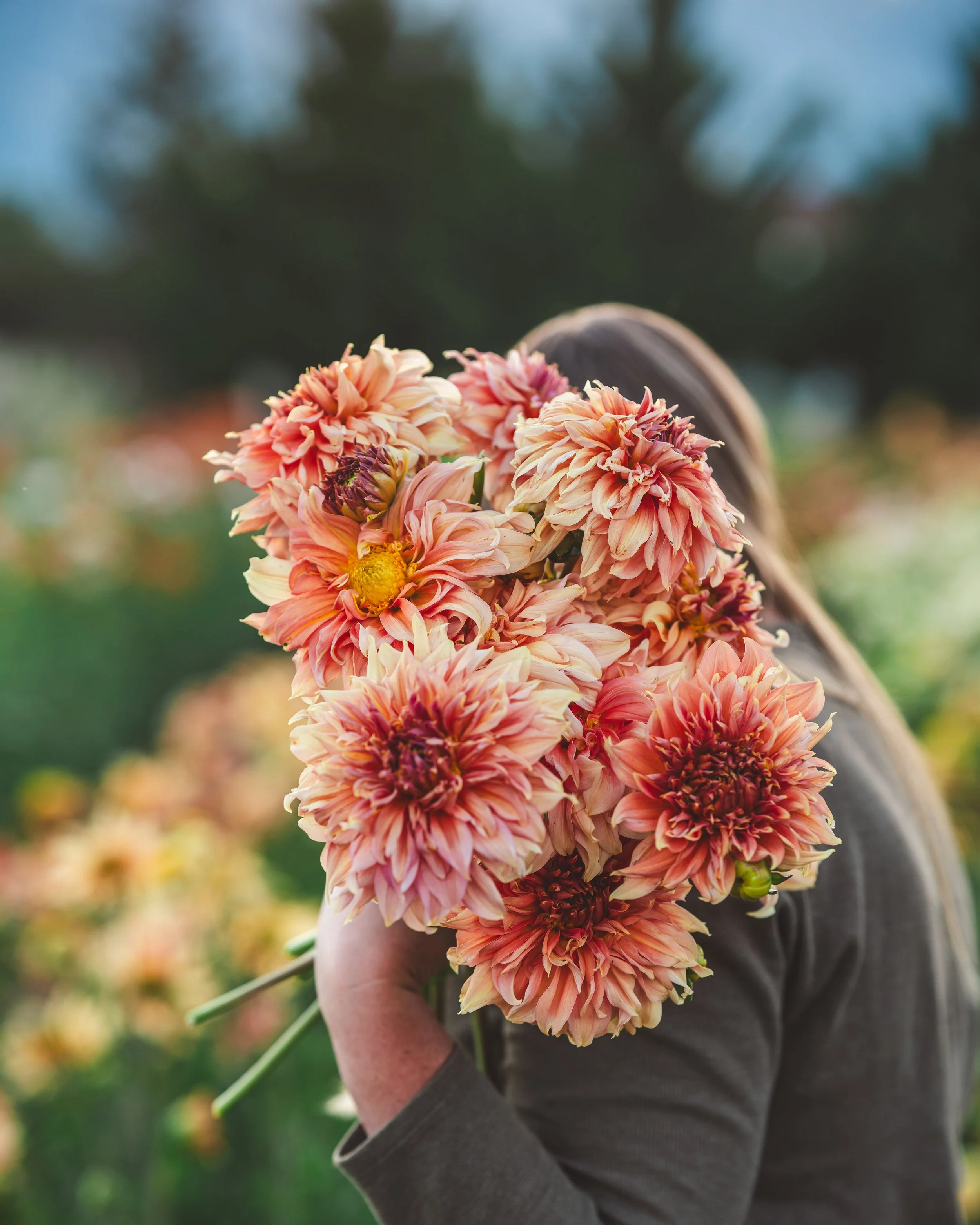 Fairway Spur-04519.jpg