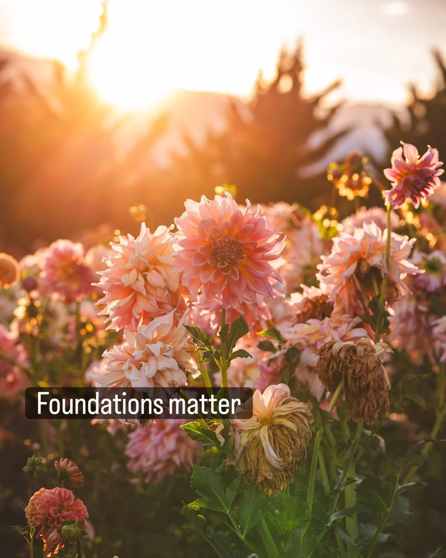 The last week was a bit of a whirlwind &mdash; in the very best way.

We had the honor of traveling to Ohio to speak with such an incredible community of growers. I shared on marketing specialty cut flowers, and Graham spoke on bookkeeping &mdash; tw