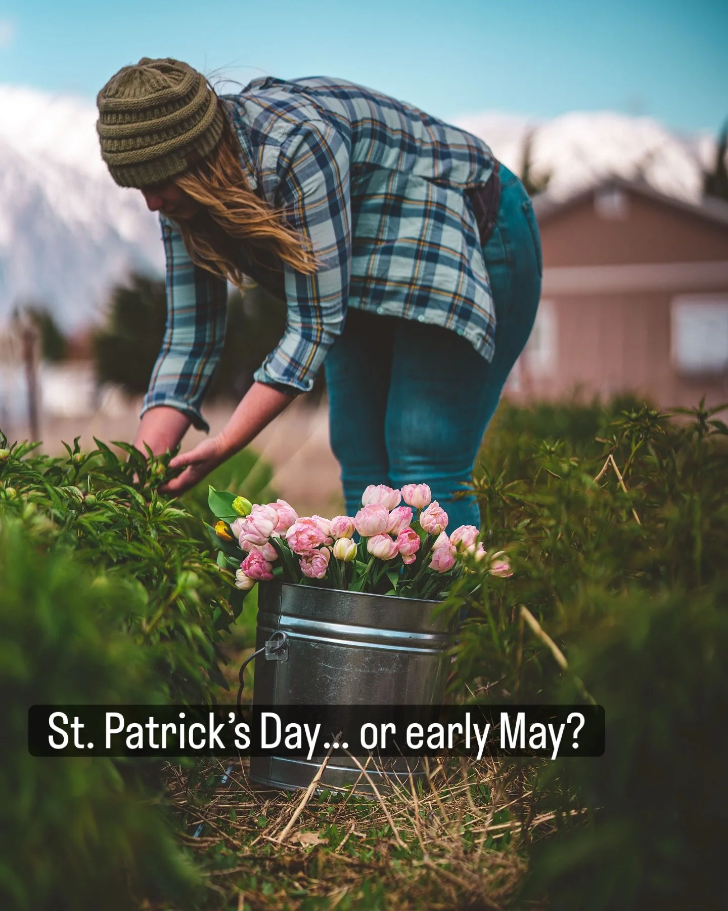 Happy St. Patrick&rsquo;s Day 🍀

How is it St. Patrick&rsquo;s Day and it feels like early May?! ☀️🌷

I&rsquo;m not complaining about the sunshine, but I am a little thrown off.

After so many years of farming and gardening, you start to recognize 