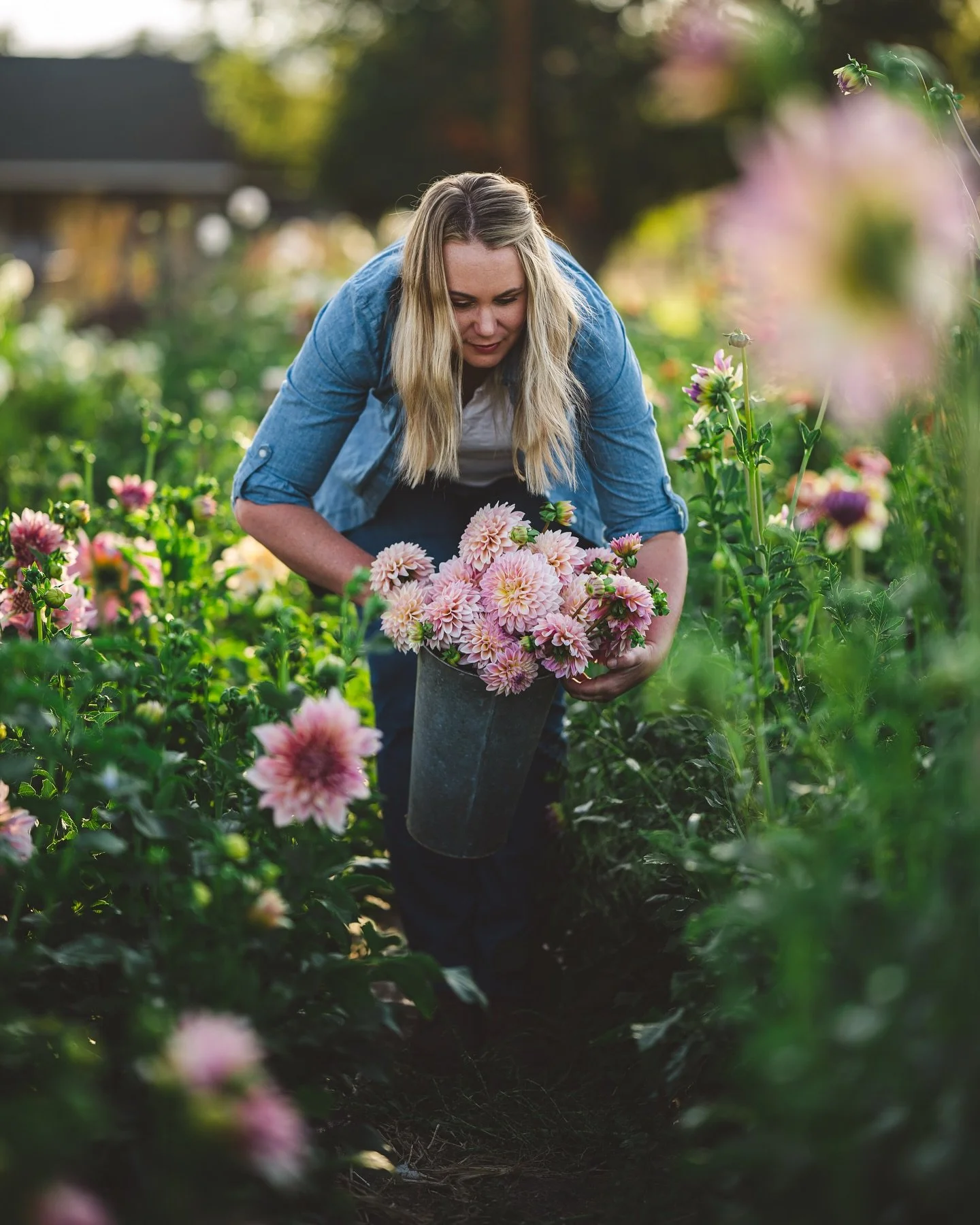 🌸 Shipping season is HERE&mdash;I&rsquo;m beyond excited to send Coralie (and more!) off to their forever gardens this week! 🌸

This blush beauty is hands-down one of my favorites: that soft, romantic pink with champagne undertones just glows in su