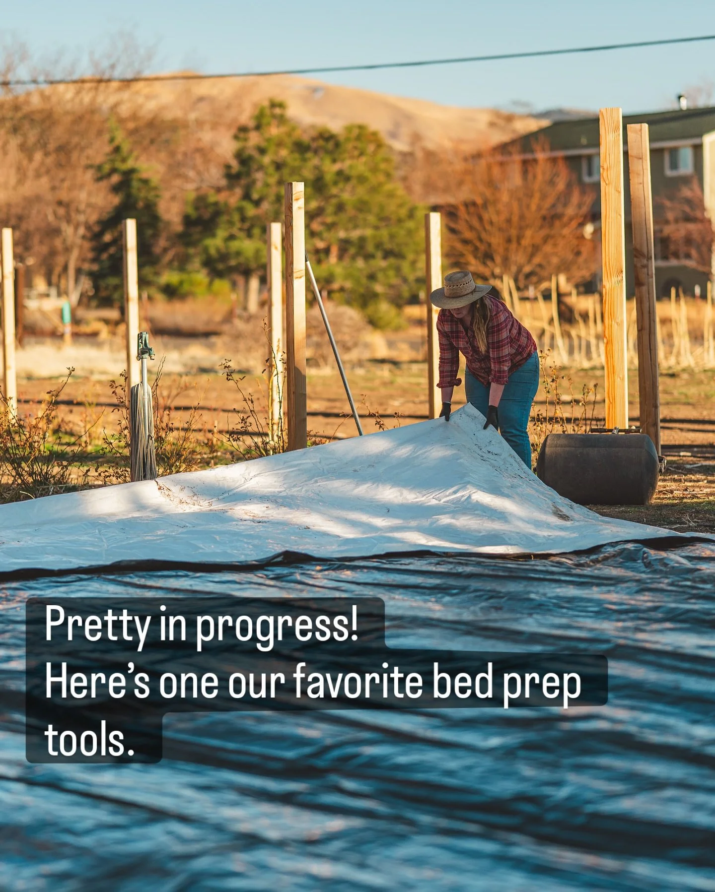 Winter was here a few days ago&hellip; now we&rsquo;ve got a stretch of spring weather and a lot to pack in.

This weekend we lift the first silage tarp and get the ranunculus in the ground.

Silage tarping helps us suppress crabgrass, sow thistle, p