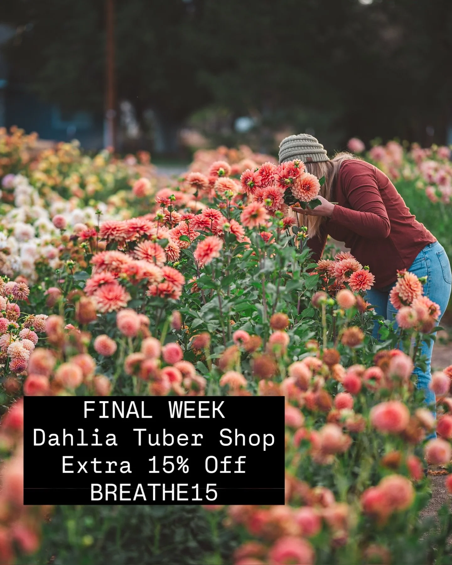 We made it.

The past few months have been a blur of what we&rsquo;re calling the 4 T&rsquo;s:
Taxes, Tubers, Tulips&hellip; and swinging Temperatures.

And the weather really didn&rsquo;t hold back&mdash;snow, wind, freezing nights (21&deg;F&hellip;