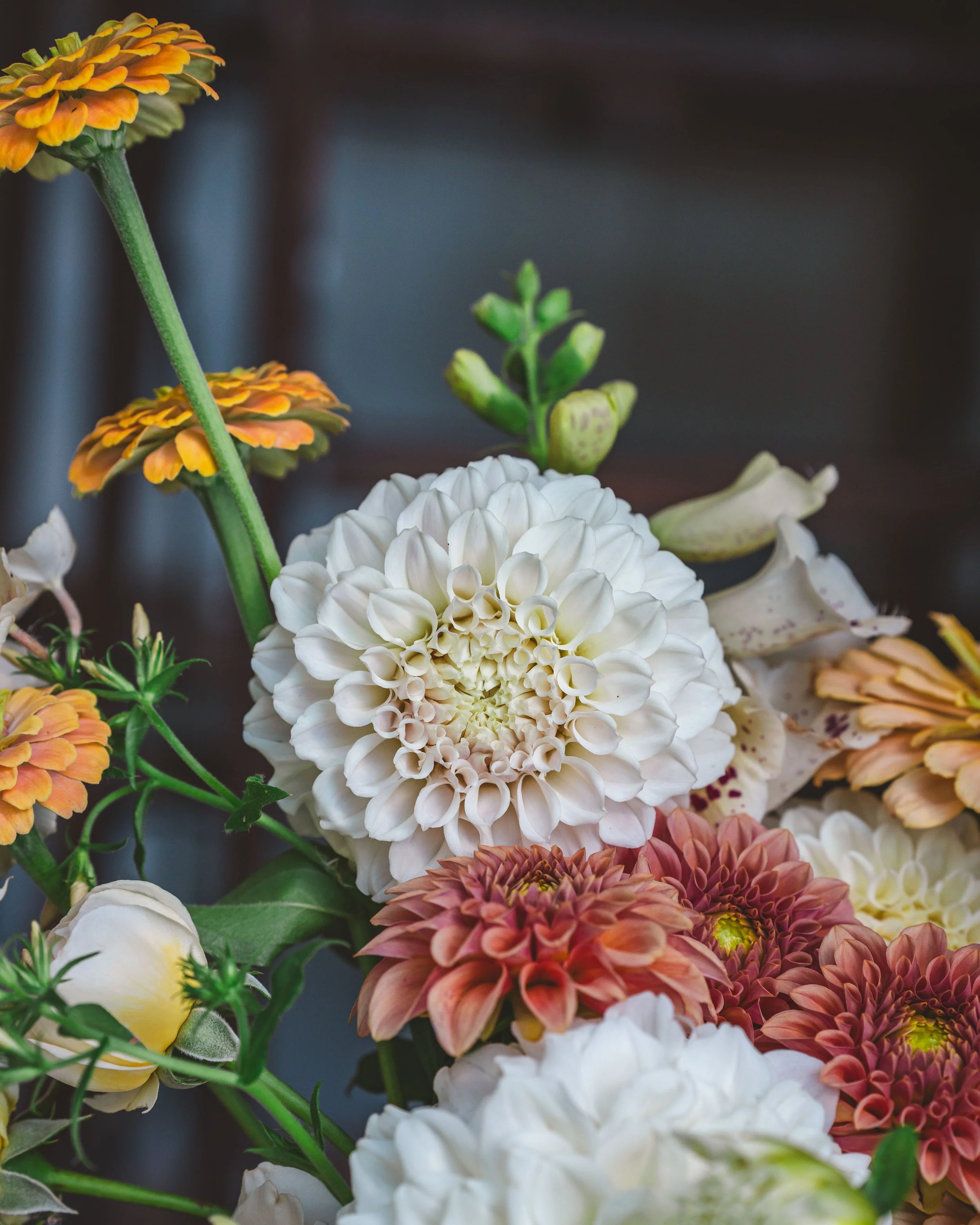 Arangment Day 12-00452.jpg