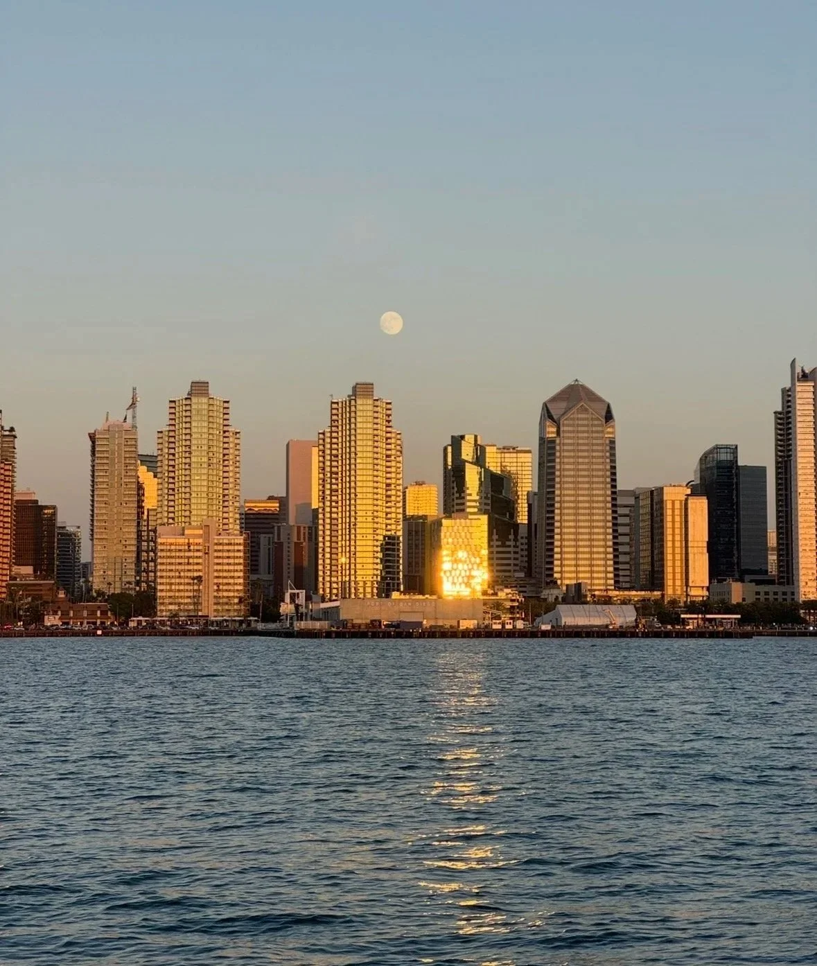 San Diego pontoon boat cruise with downtown skyline at sunset