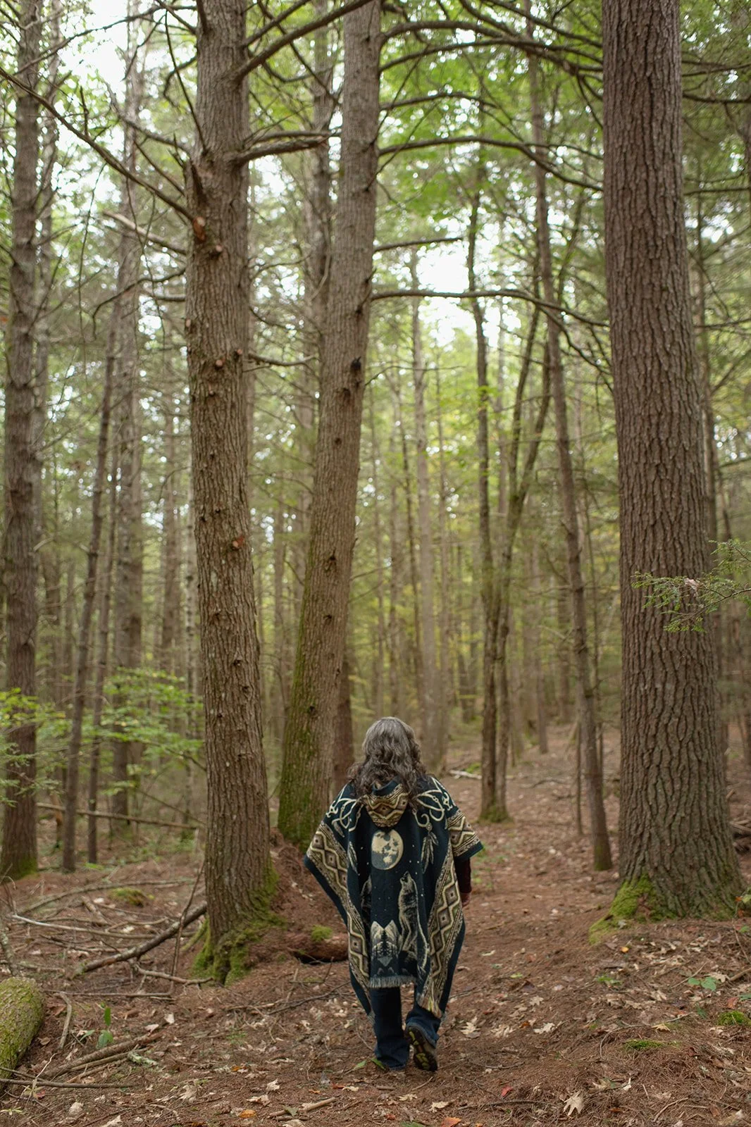 A person with long gray hair, wearing a patterned cloak, walking on a forest trail surrounded by tall trees.