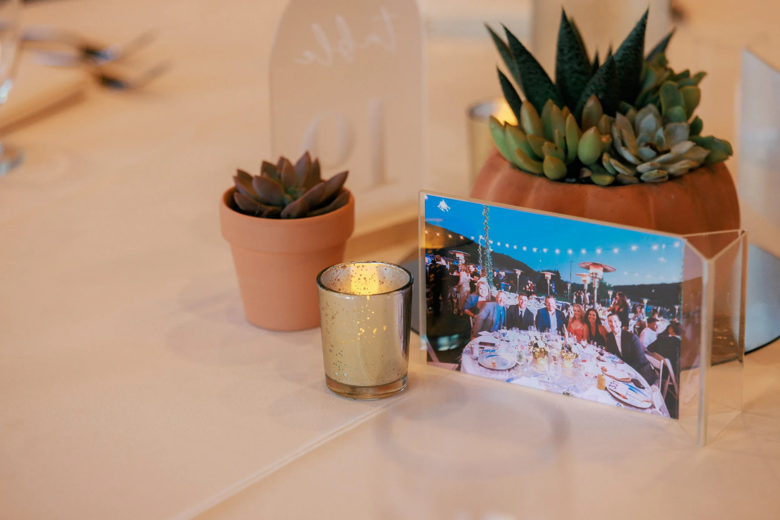 Donor Dinner Night 2024C18A1804.jpg