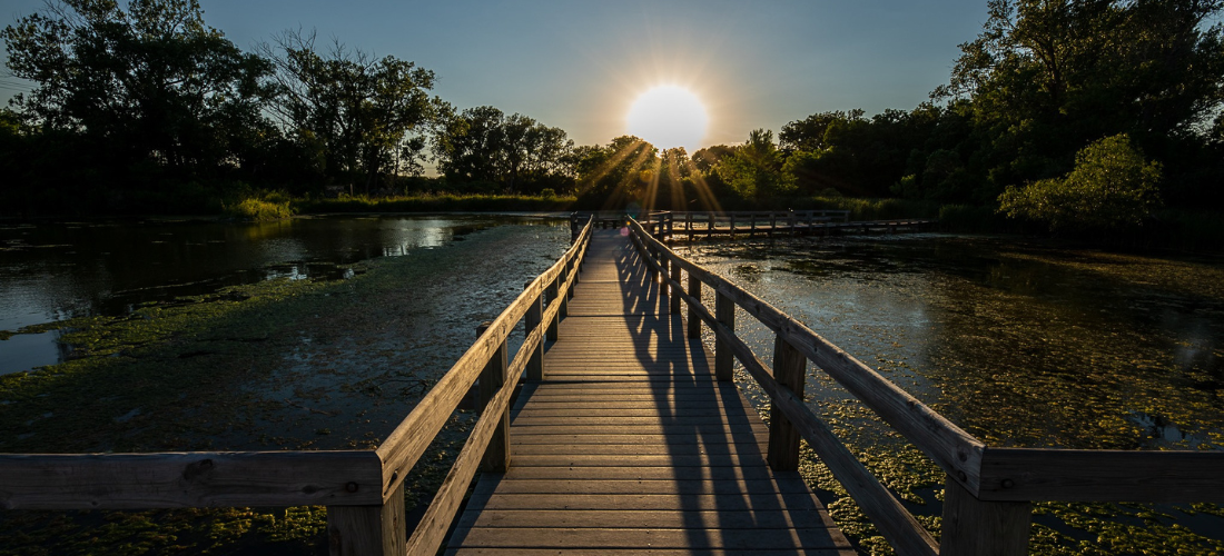 Hidden Nature in the City: Exploring Heron Haven in West Omaha
