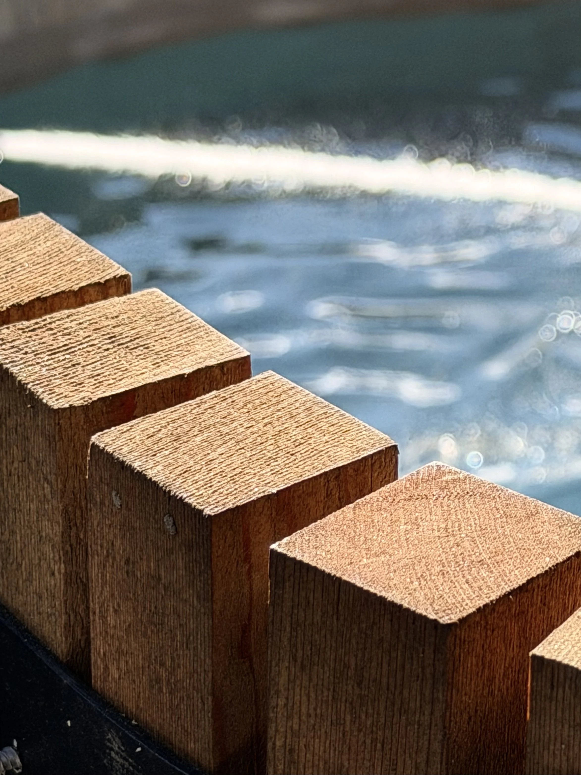 FullSizeRender 2.jpeg