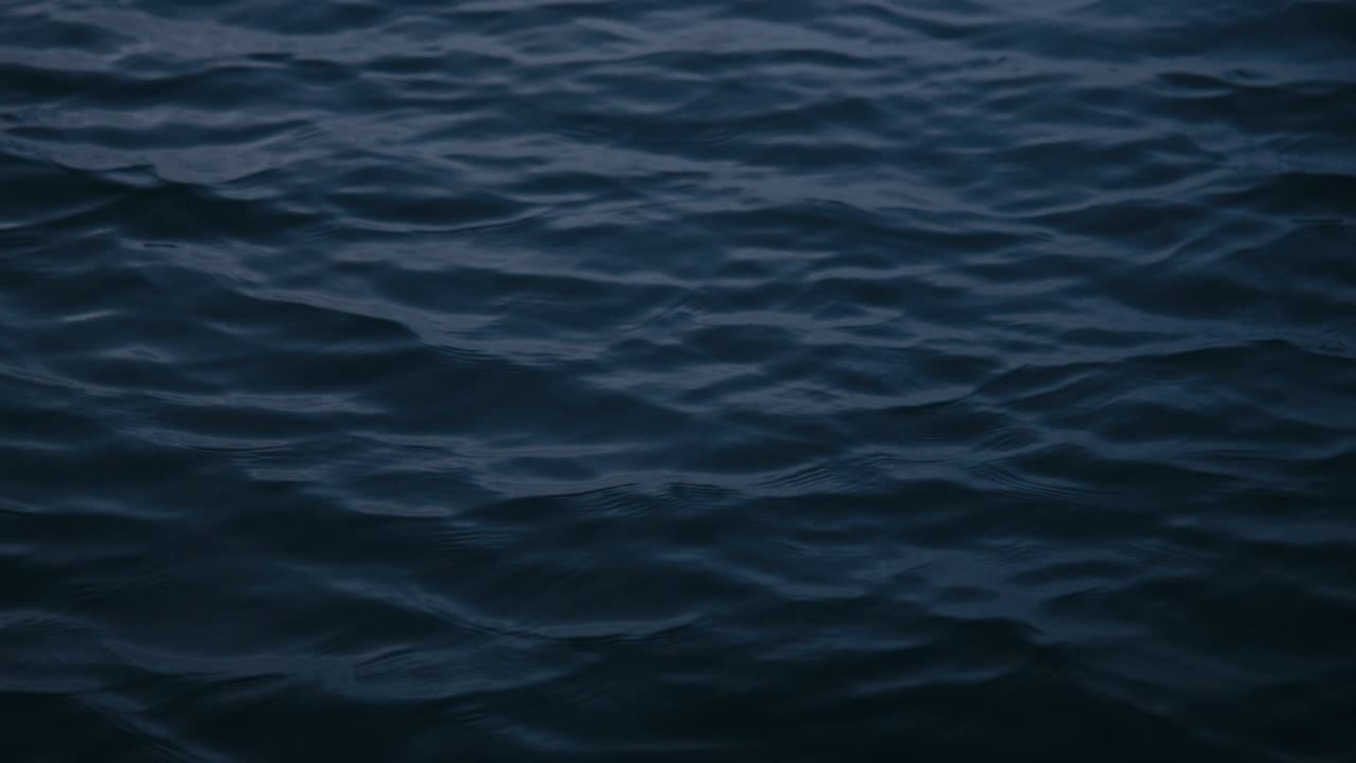 Untitled design (20).png