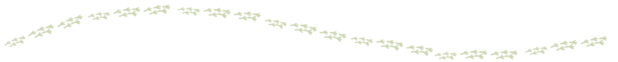 CleanPeak Energy's Indigenous Artwork Snippet - emu tracks