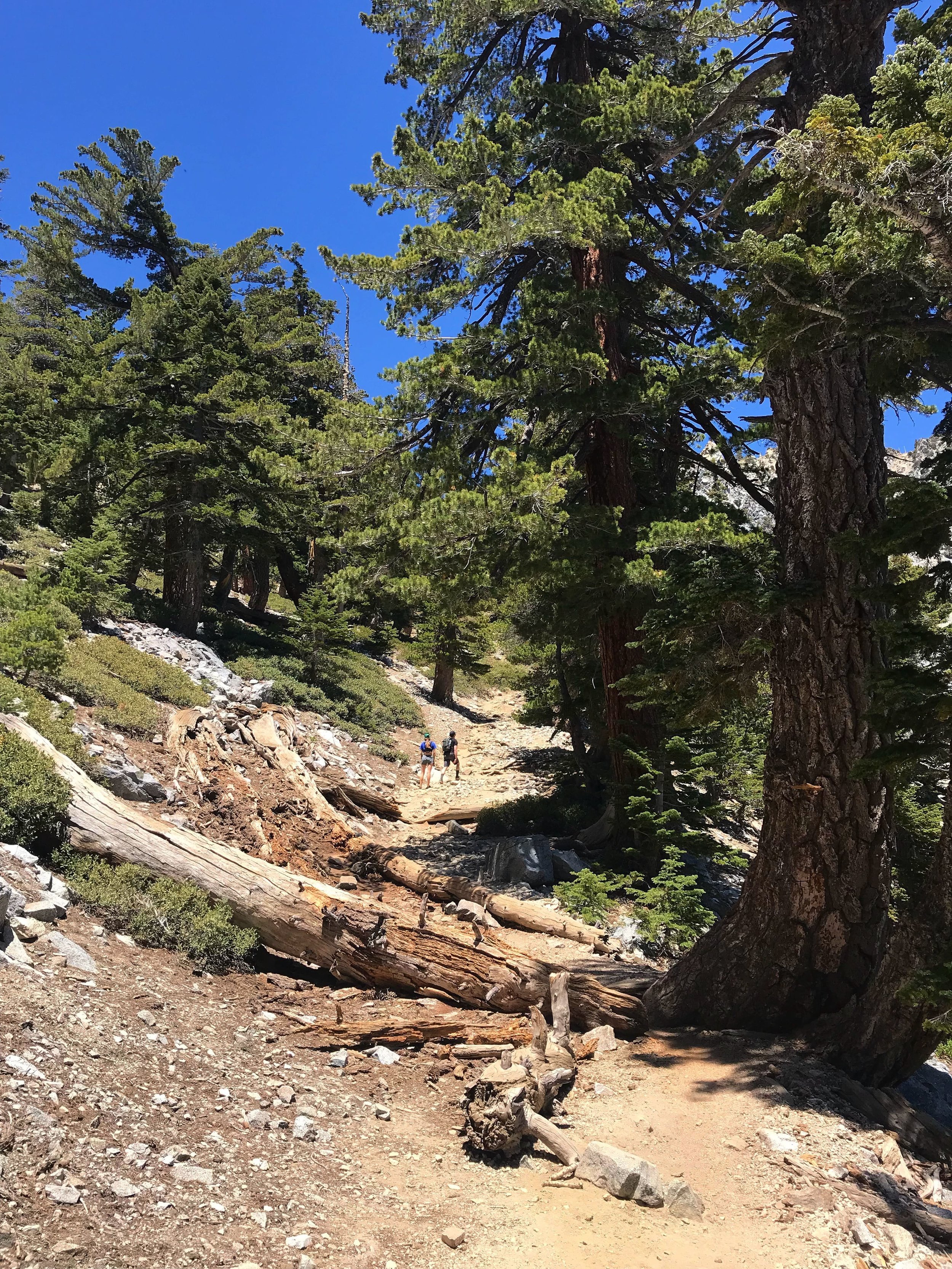 Wilderness Therapy Group