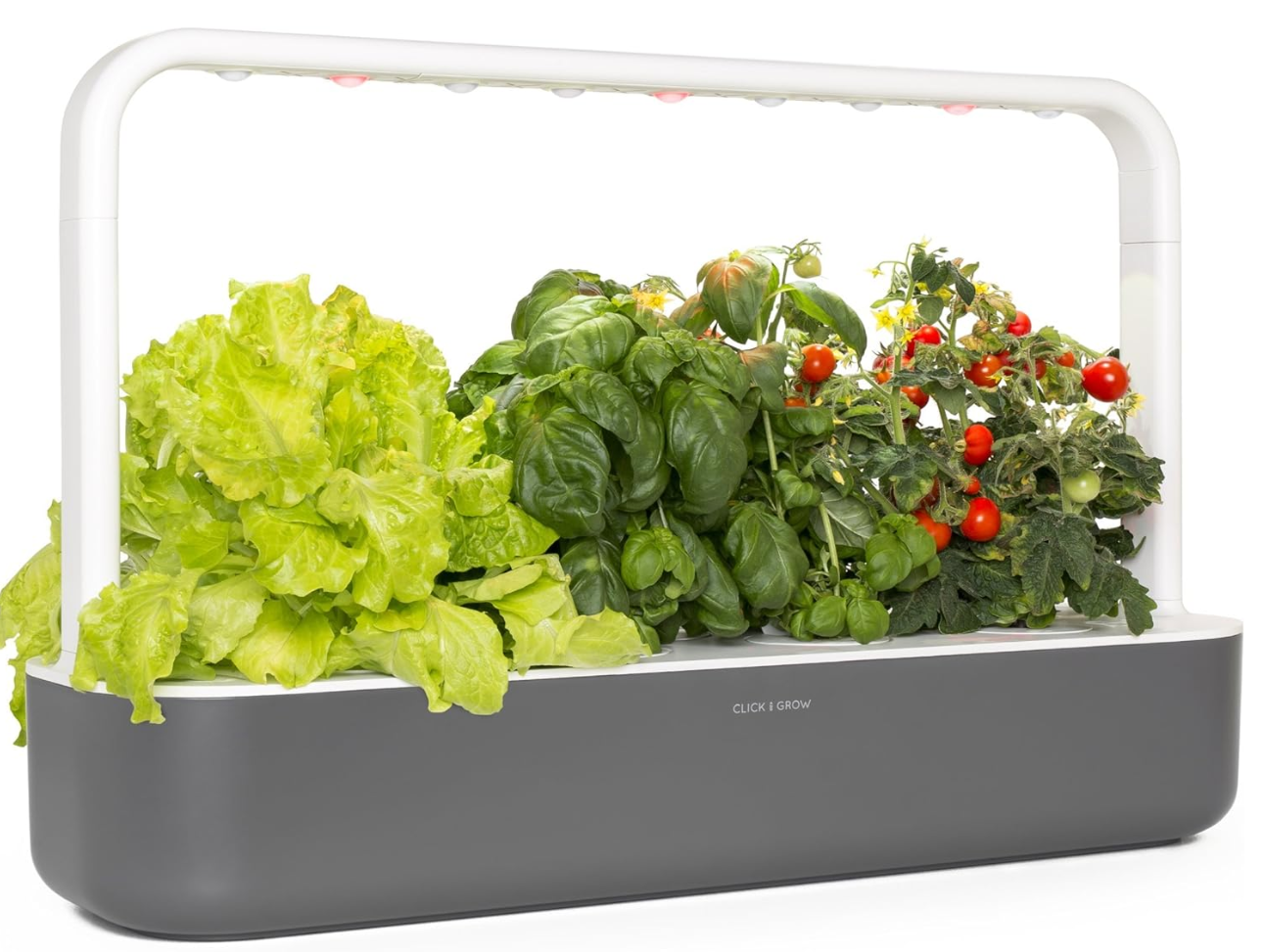 Indoor hydroponic garden with lettuce, basil, and cherry tomatoes in a modern LED grow light system.