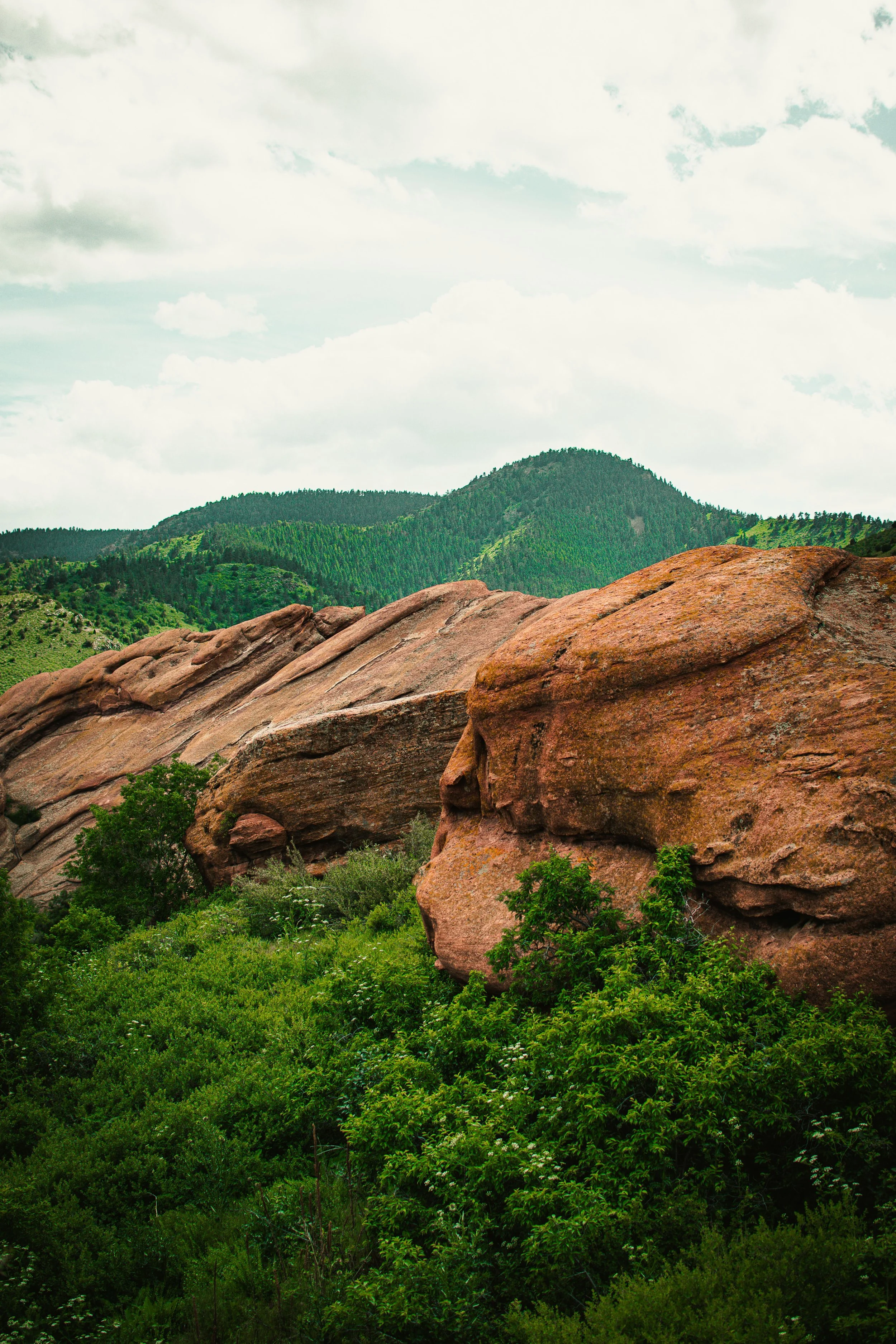 image of red rocks in the foothills of colorado outside Littleton, Highlands Ranch, Castle Rock, and Ken Caryl. It is summer and the foliage is vibrant green.