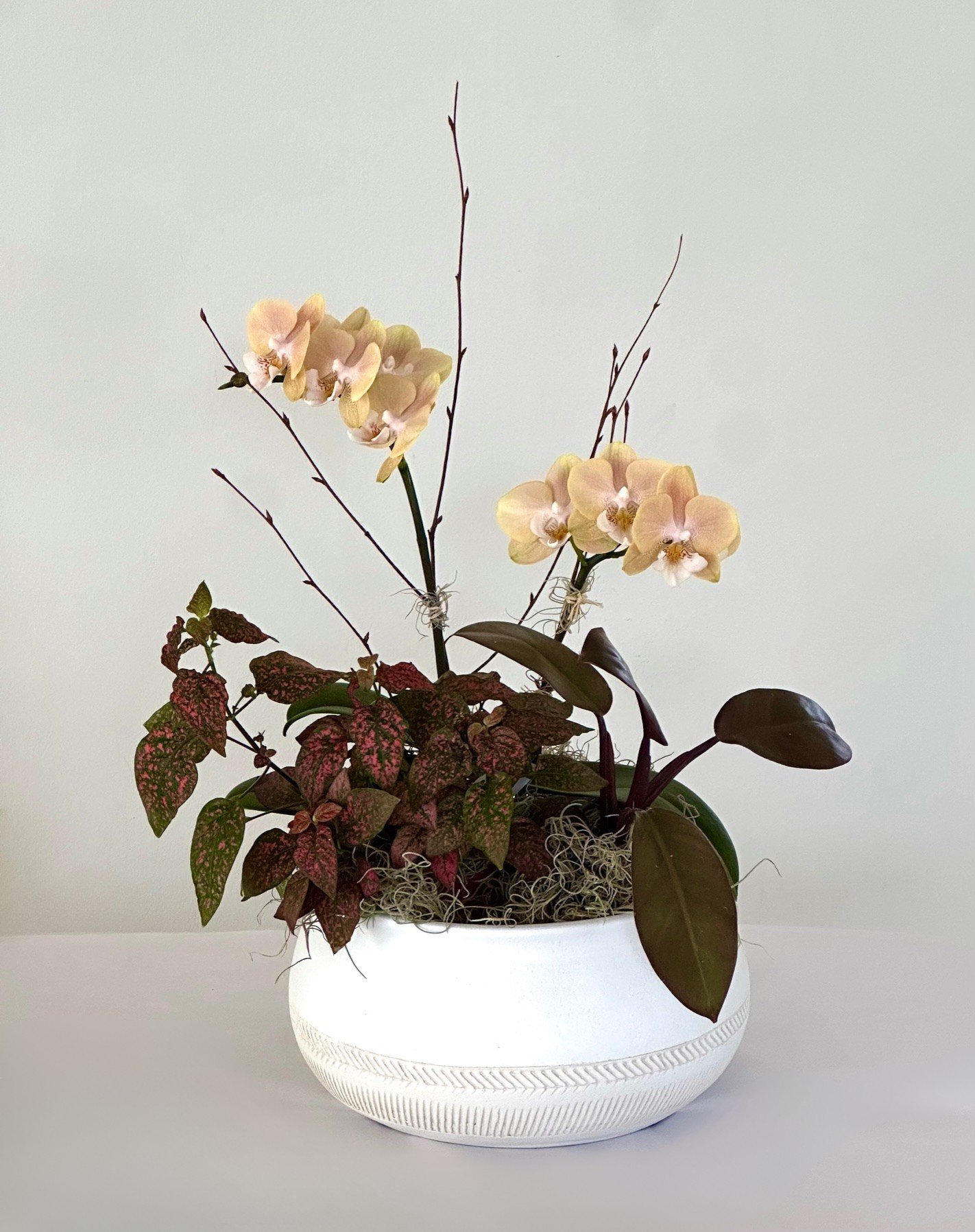 Small Dish Garden