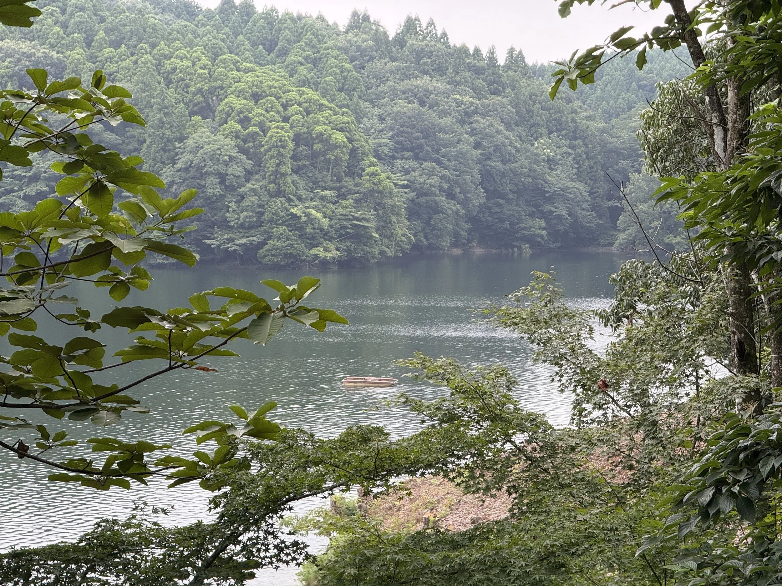 緑の木々に囲まれた湖の風景。湖の水面には小さなボートが浮かび、遠くには山々が見える。