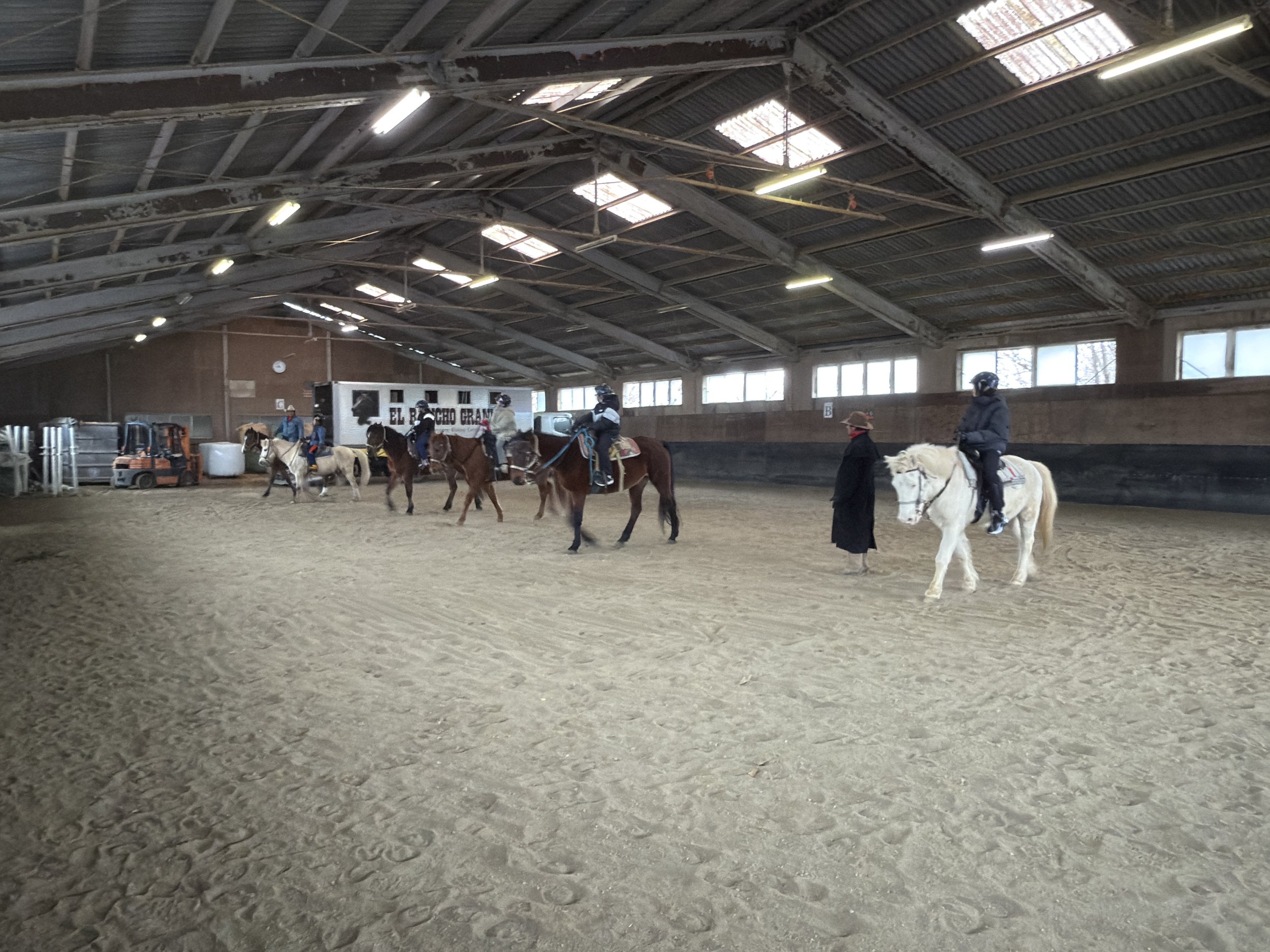 馬場で騎乗練習をする人々と馬たち。屋内の馬術訓練場で、騎手と指導者が馬に乗っている様子が見える。
