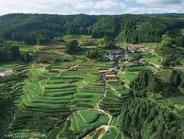 Greenpia Surrounding Nature Photo.jpg