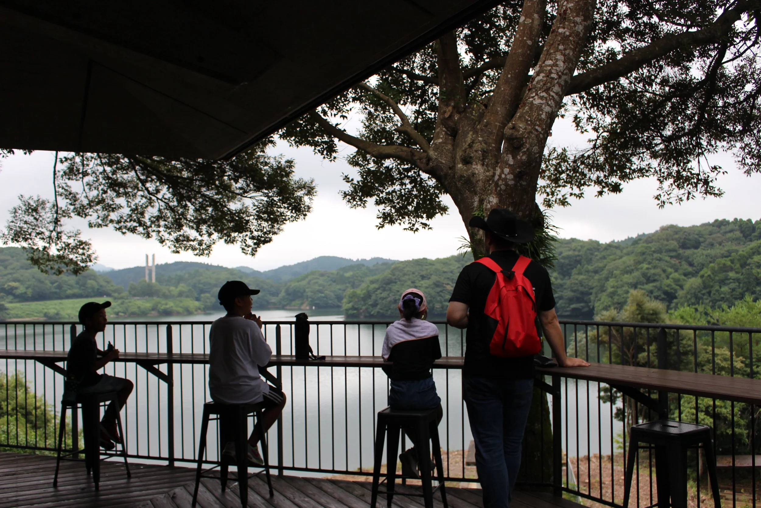 湖と緑の丘陵を背景に、木の下にいる人々が展望台で景色を眺めている。