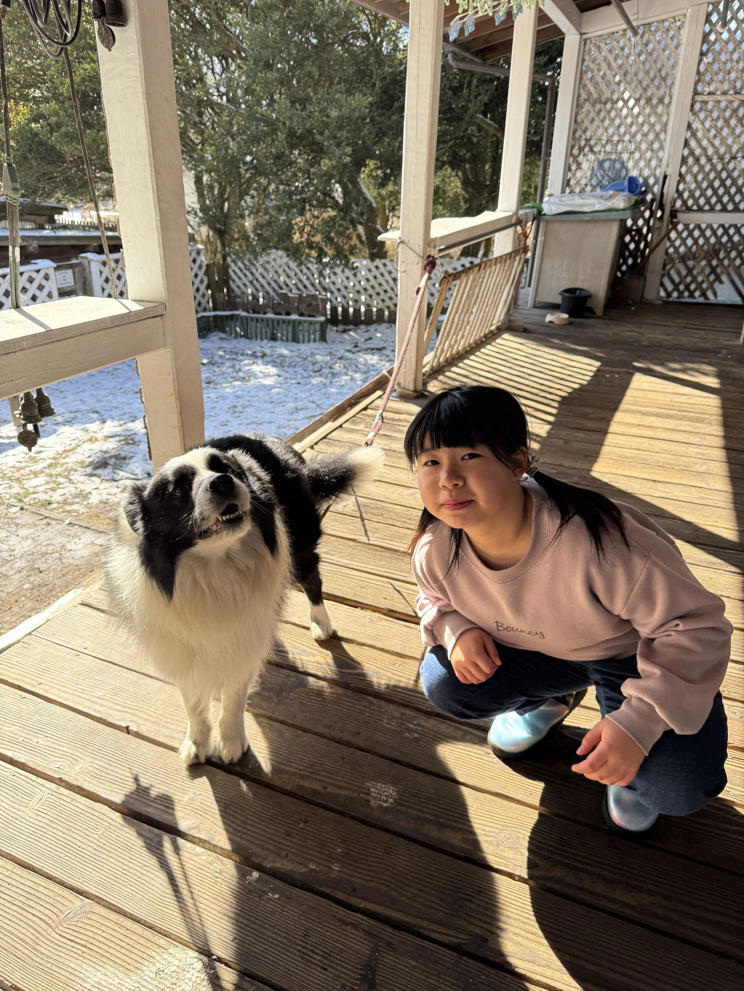 木製のデッキで、黒白の大型犬と女の子が一緒に写っている。背景には雪が少し残る庭と木々が見える。女の子はカメラに向かって微笑んでいる。