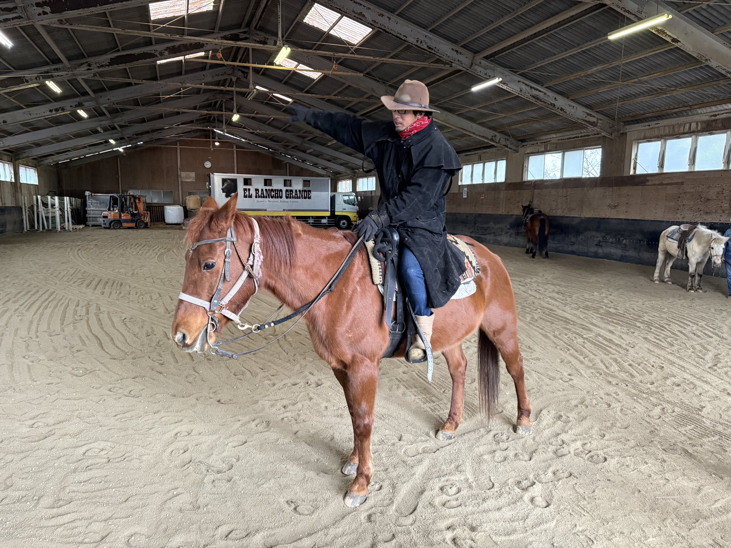 馬に乗った男性が乗馬指導をしている indoor馬場の風景