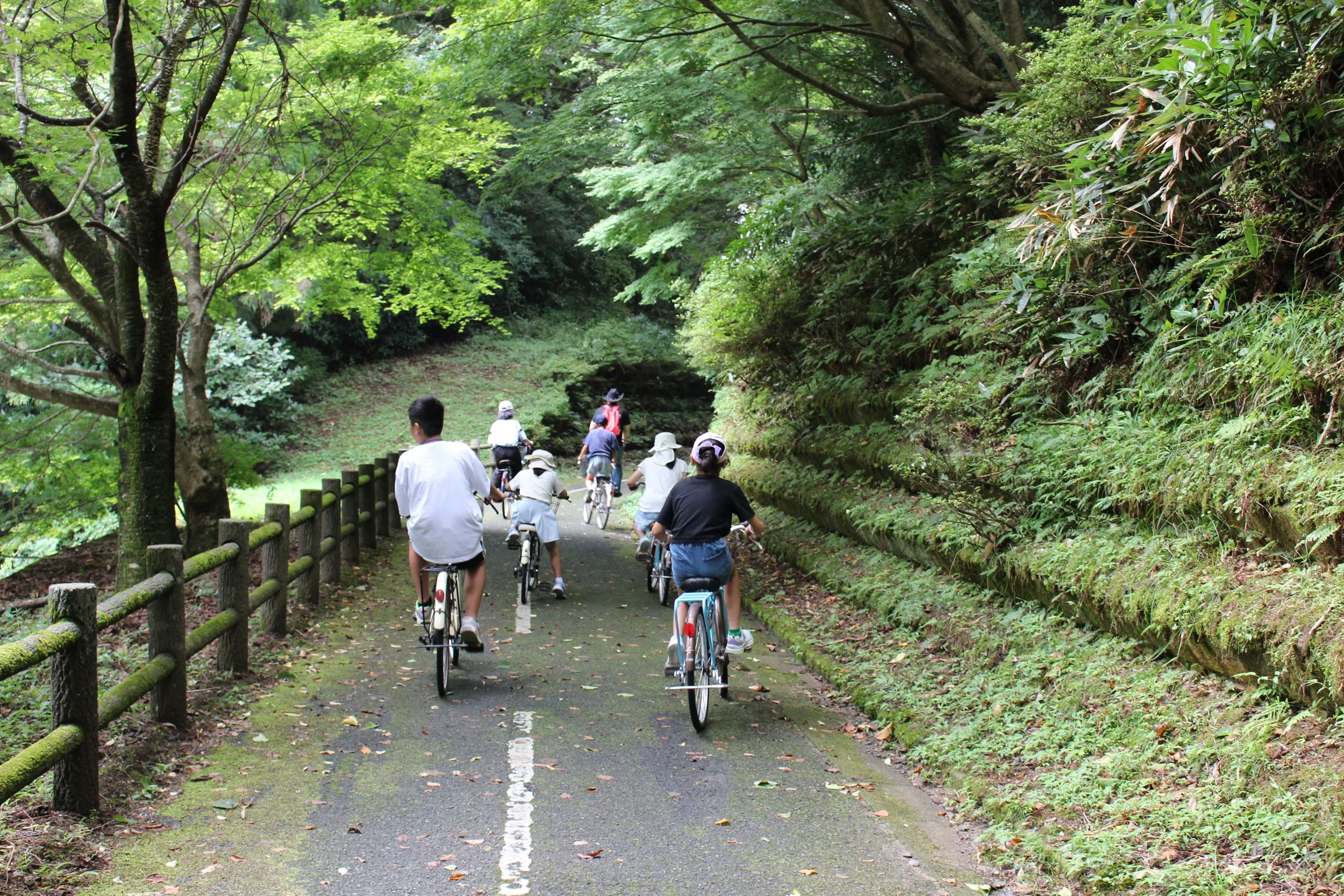 緑豊かな森林の中の自転車道を自転車に乗っている人々のグループ