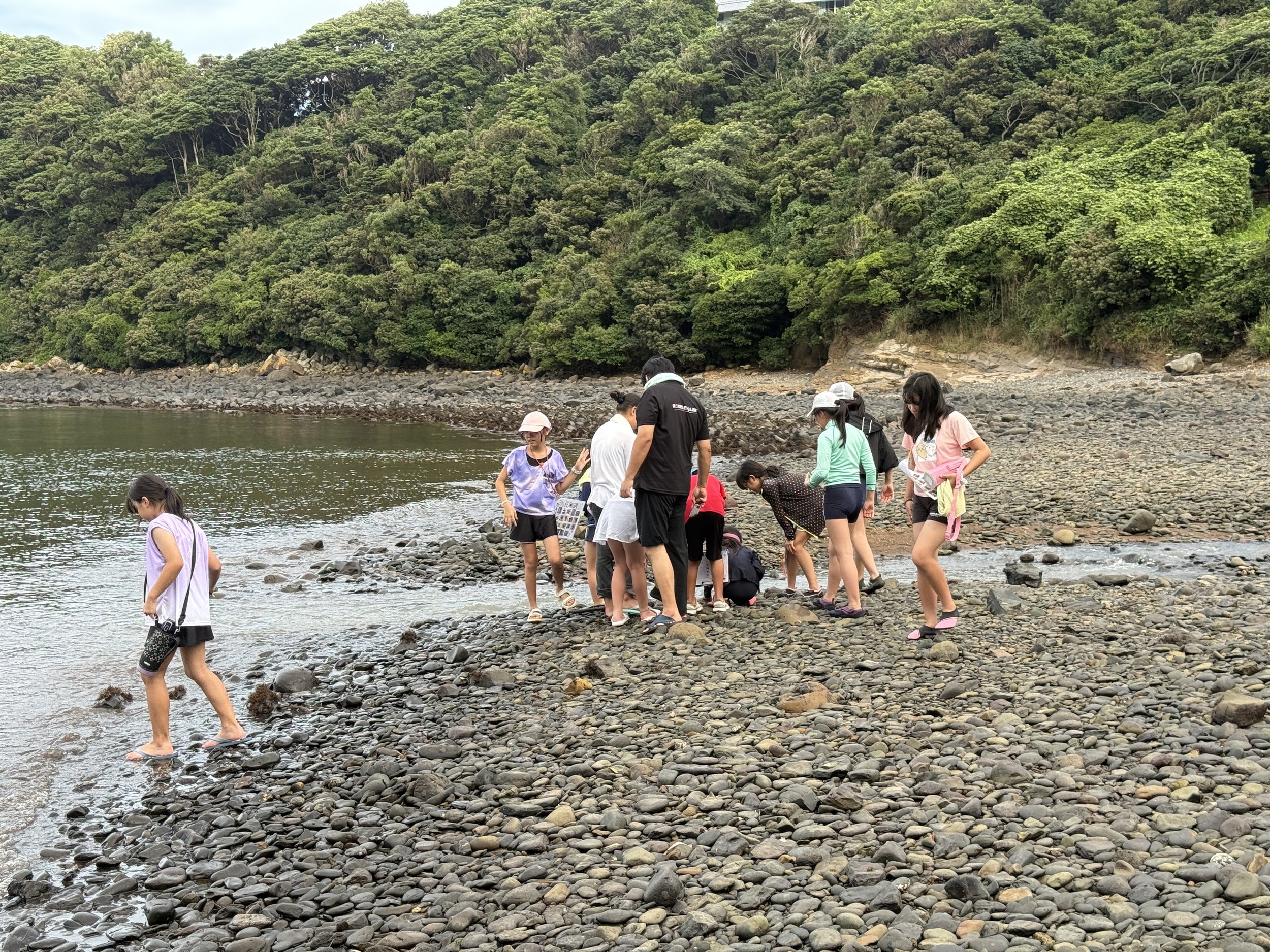 海辺で楽しむ子供と大人のグループ