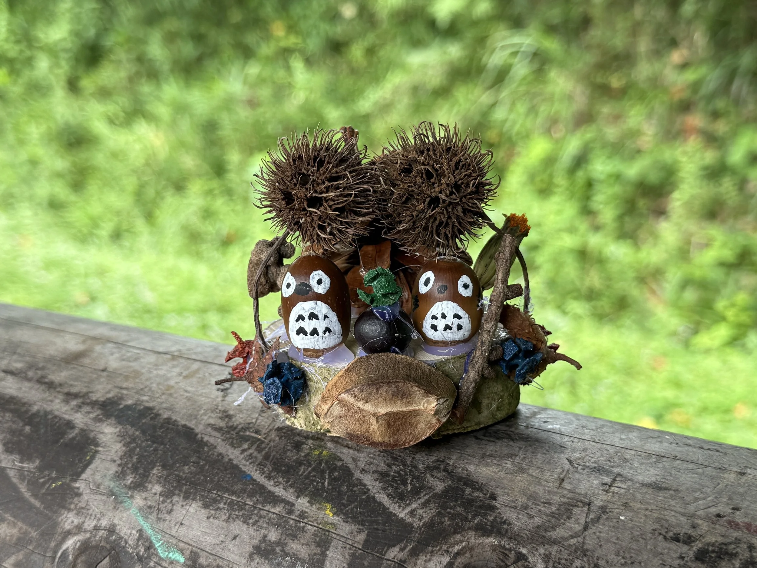 自然の中にある木の実と装飾品のアート作品