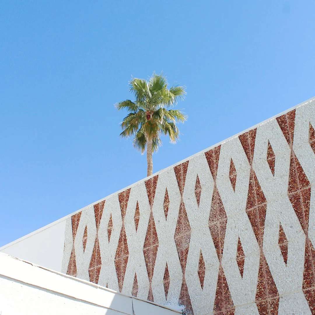 palm x pattern-2.jpg