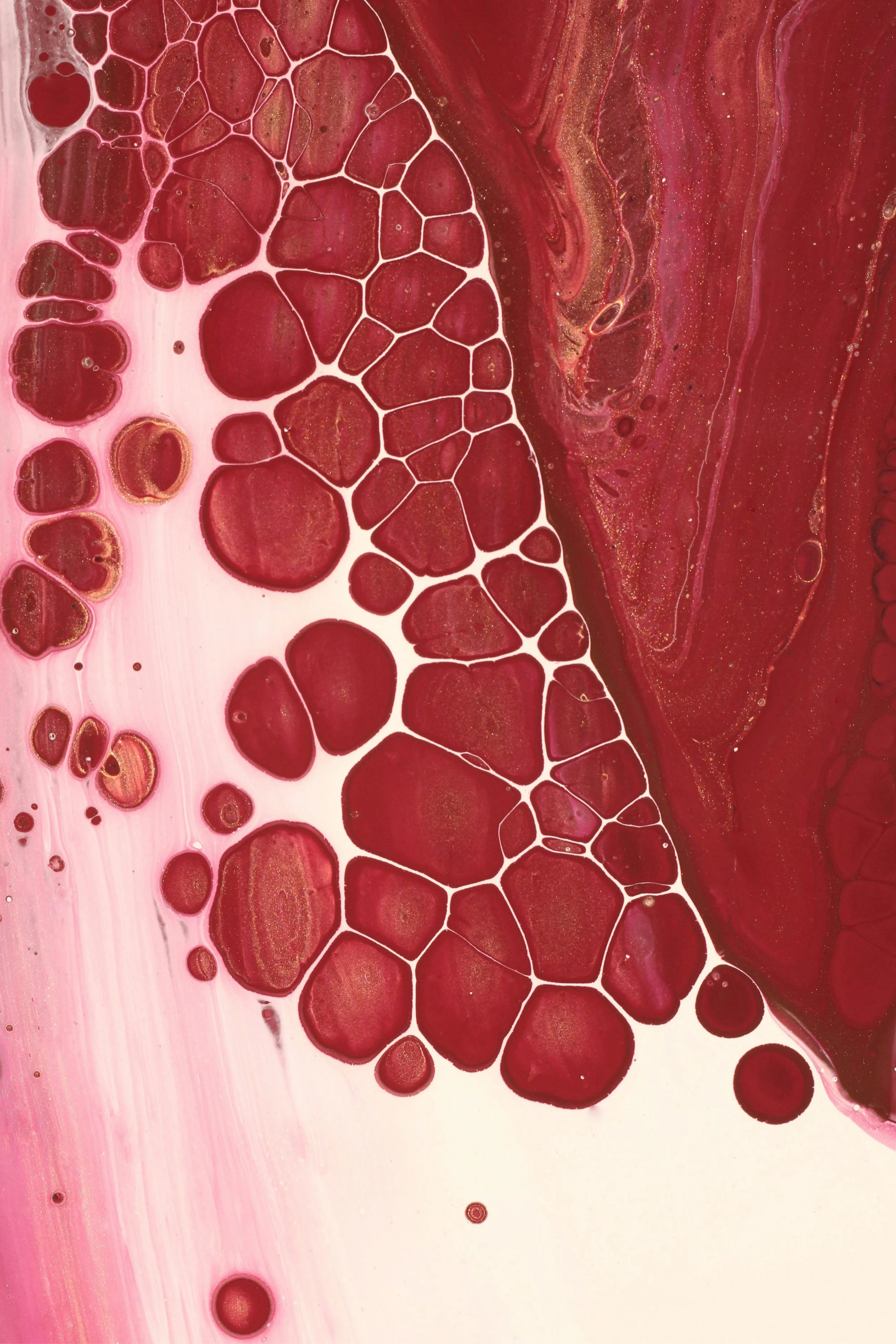 What Your Blood Test Results Are Actually Telling You