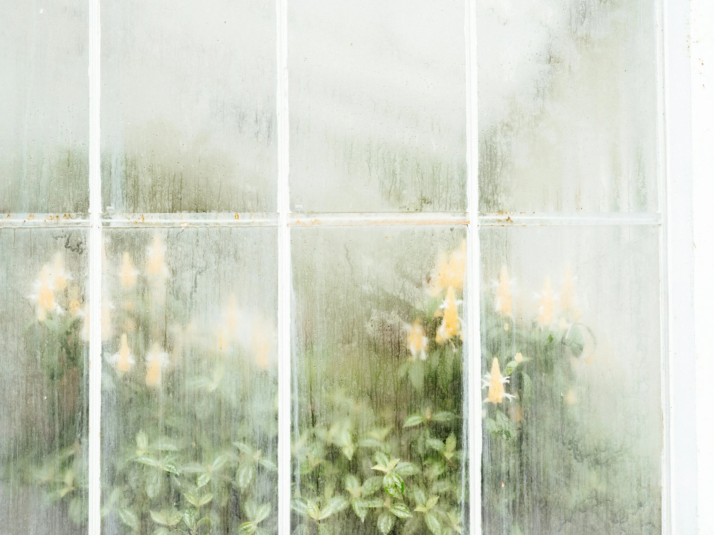 On Dampness