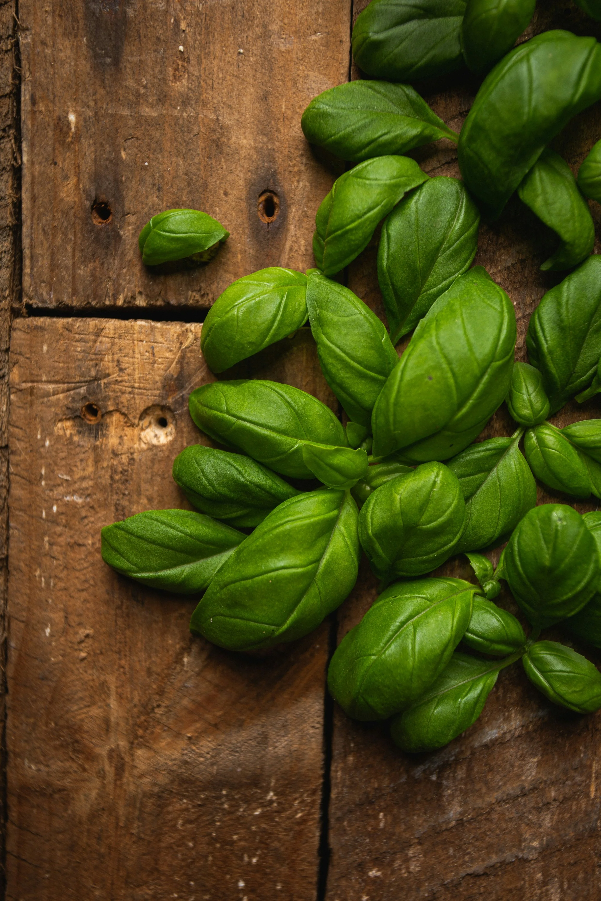 How Oestrogen Protects Your Heart (And What Happens When It Leaves)