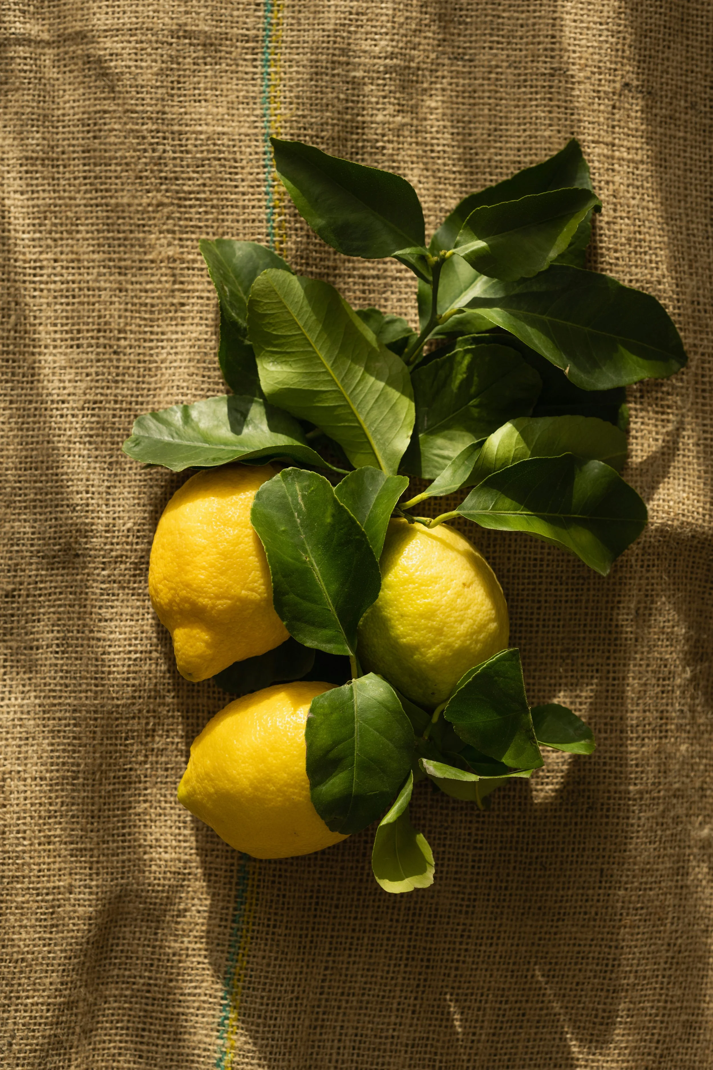 What's actually keeping your inflammation switched on