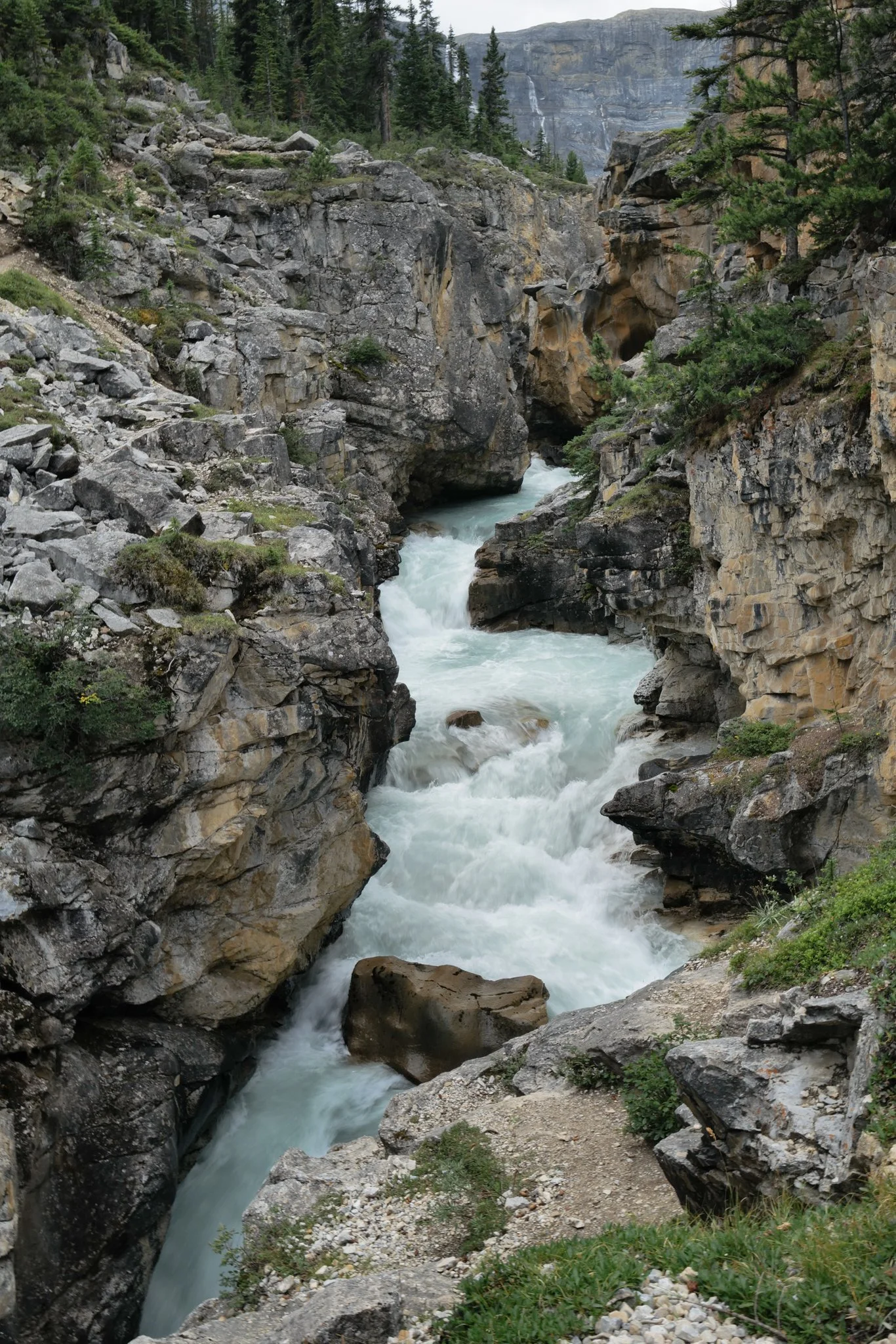 L1004918.jpg