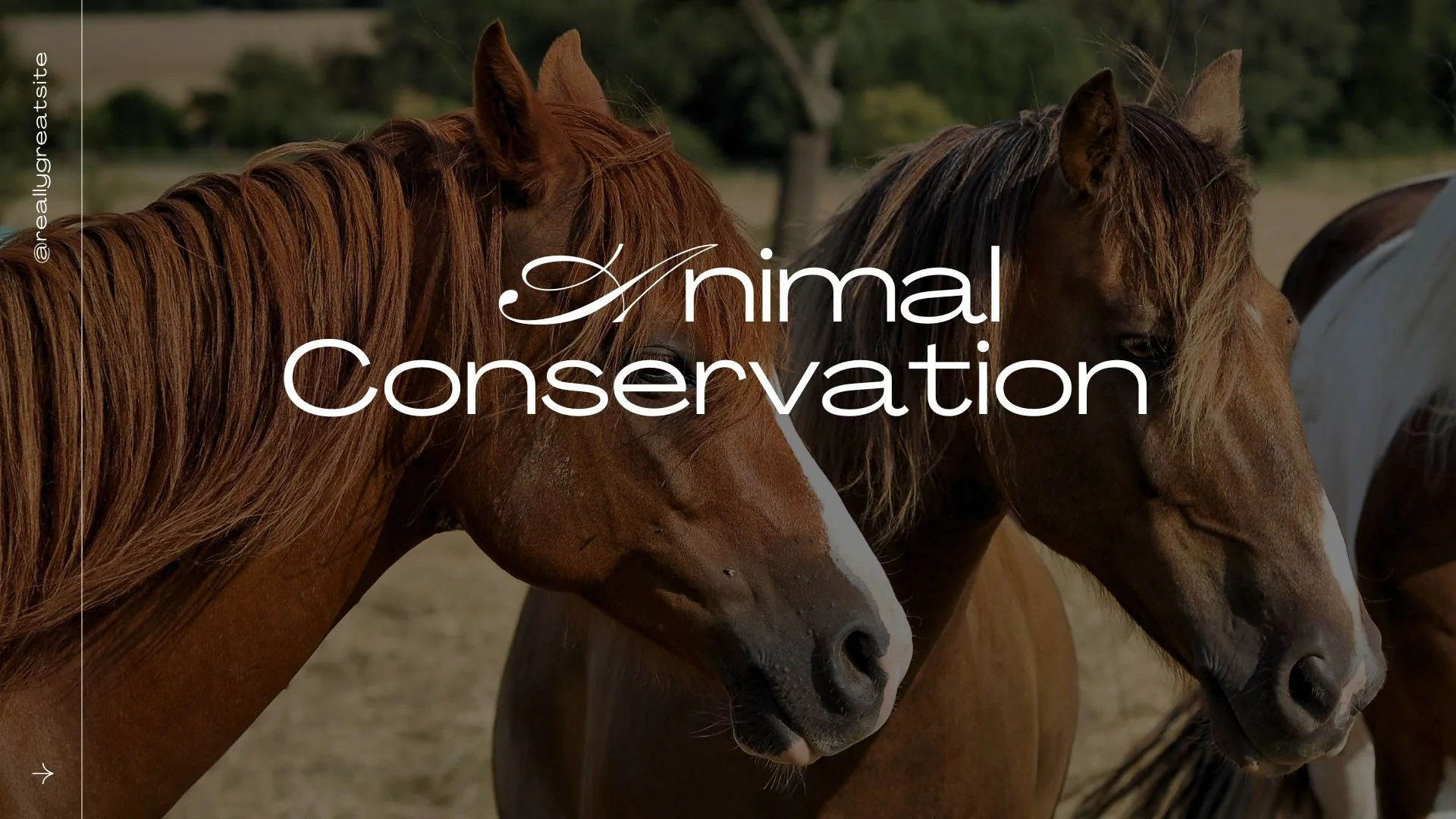 Who Decides the Value of A Life?