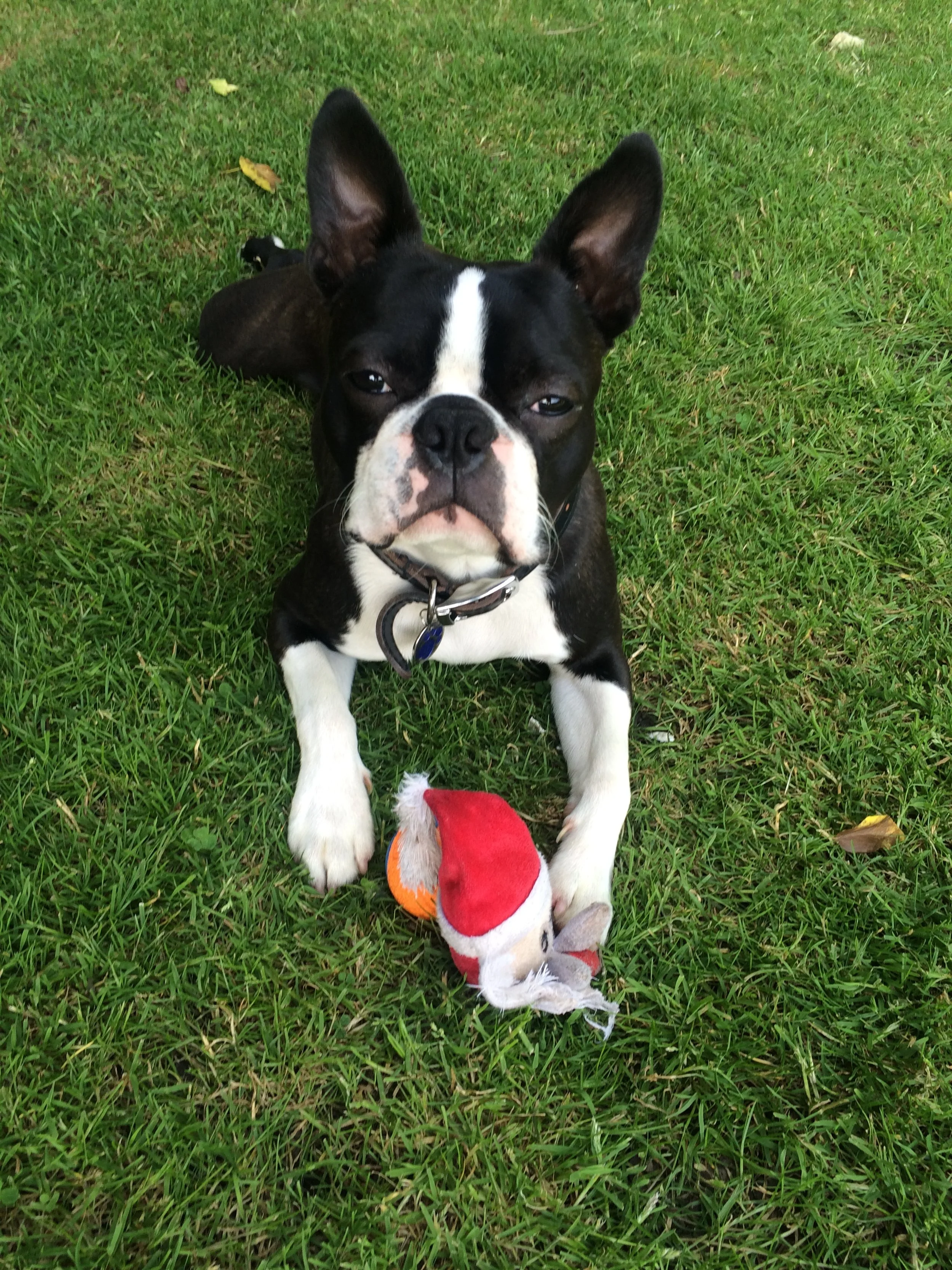 Love, Made Practical: Why Care Shows Up in the Small Things