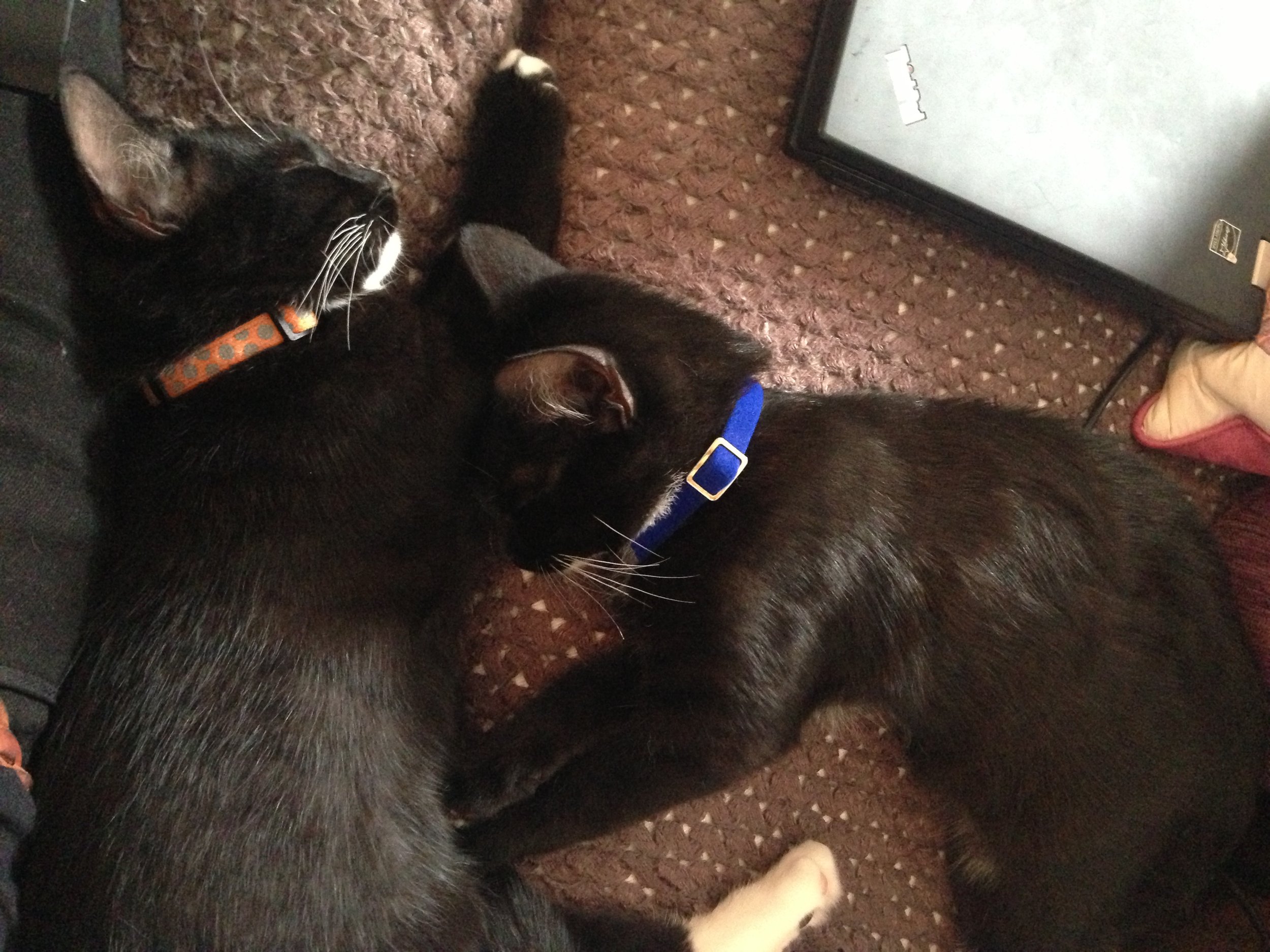 The Quiet Work That Moves Us Forward