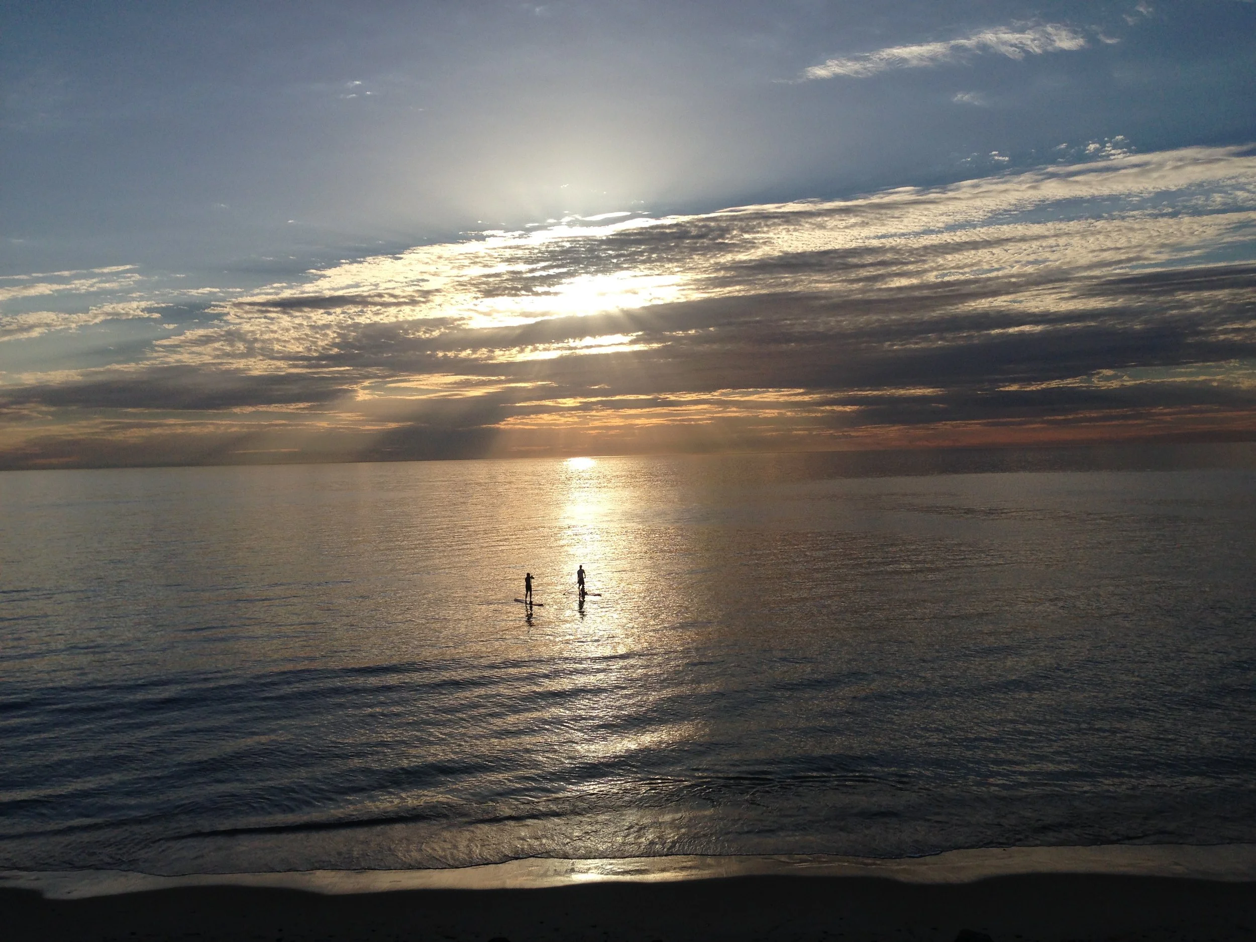 The ocean isn’t ours — what we get wrong about “culling” sharks