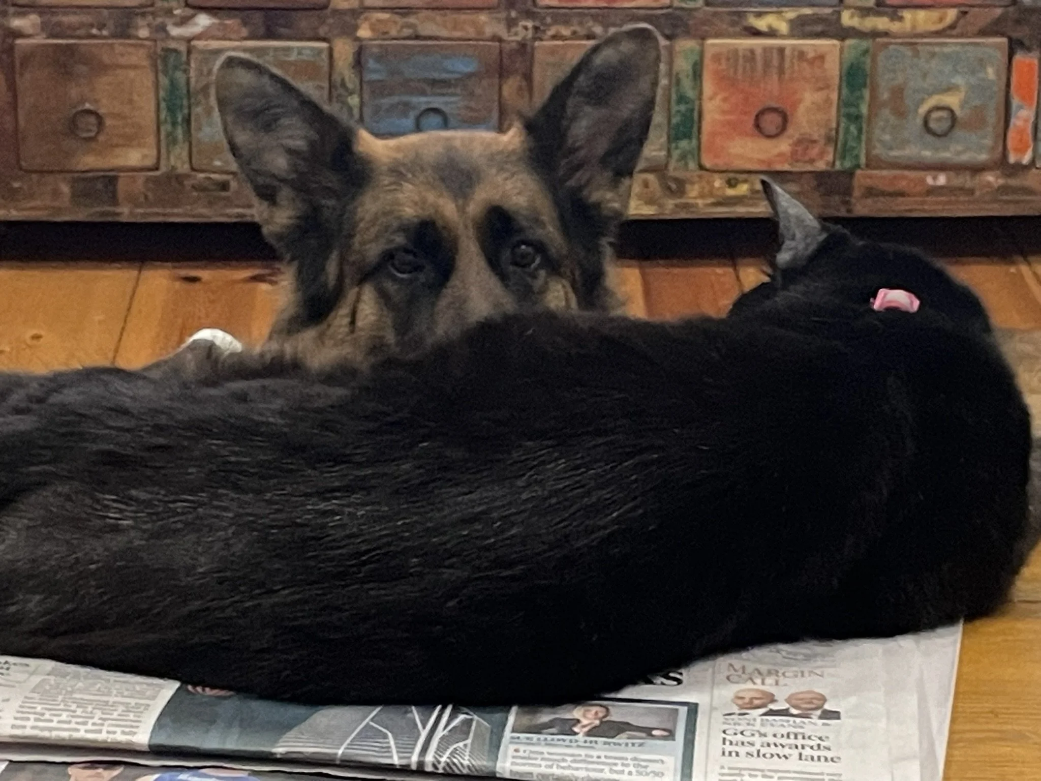 Behaviour Isn’t the Problem. It’s the Clue.