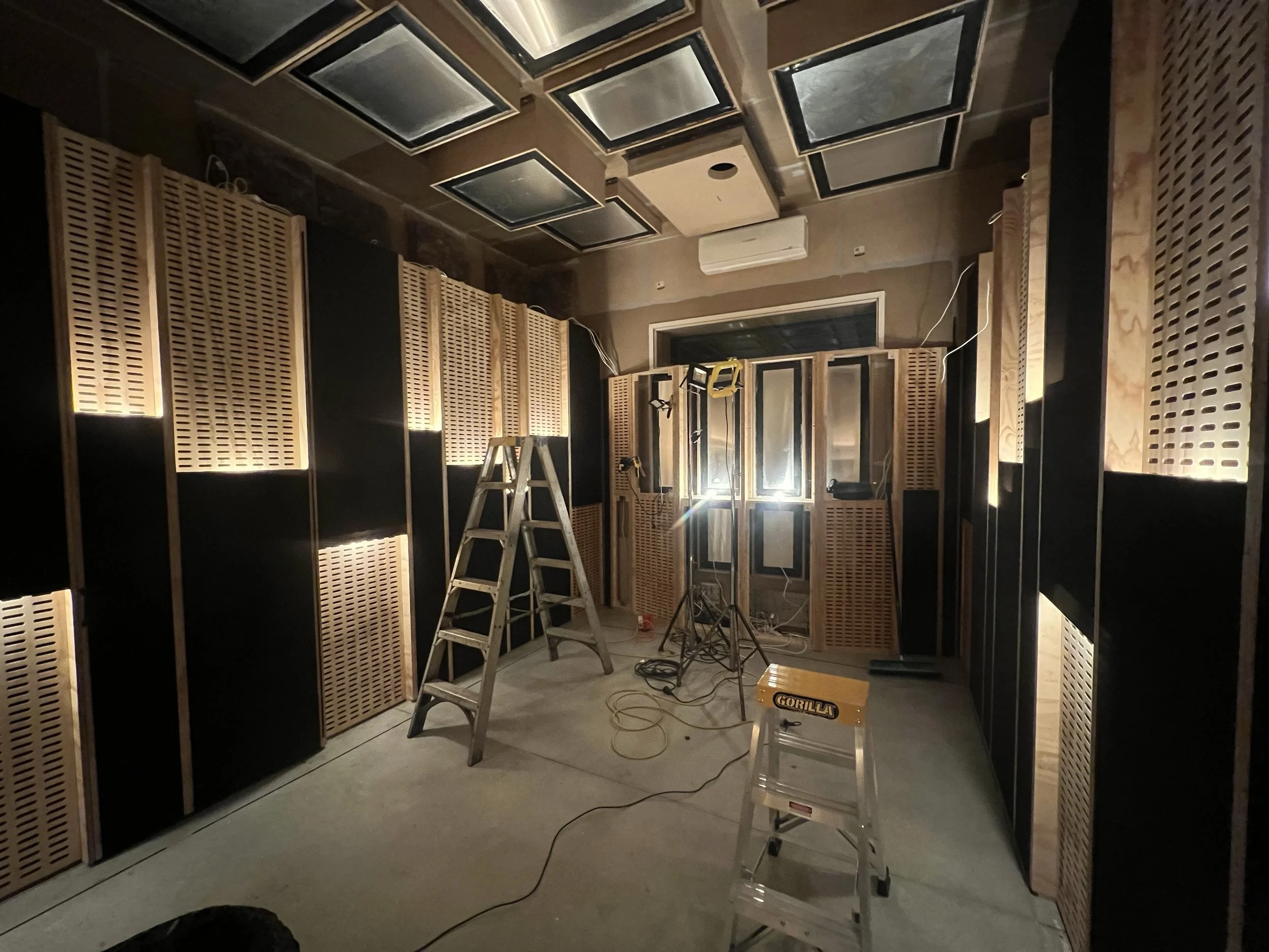 skin and panels progress