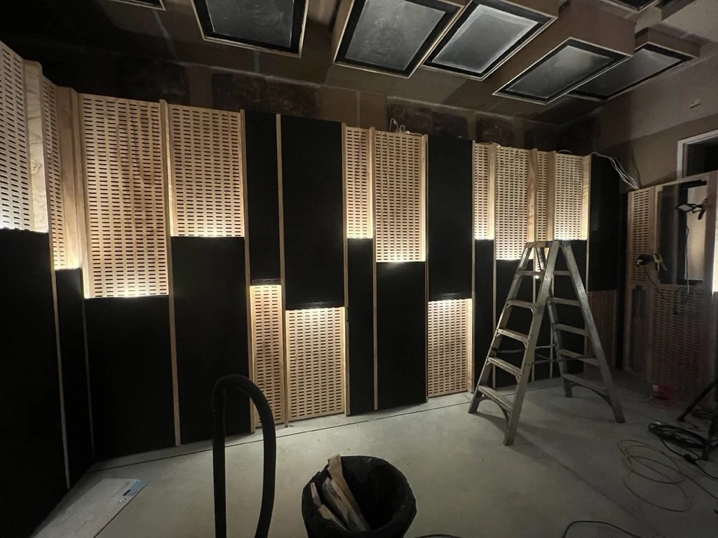 skin and panels progress