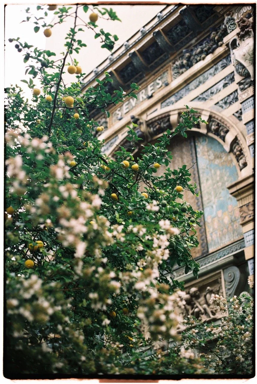 P77277NKmo102504-R13-100-2 Large.jpeg