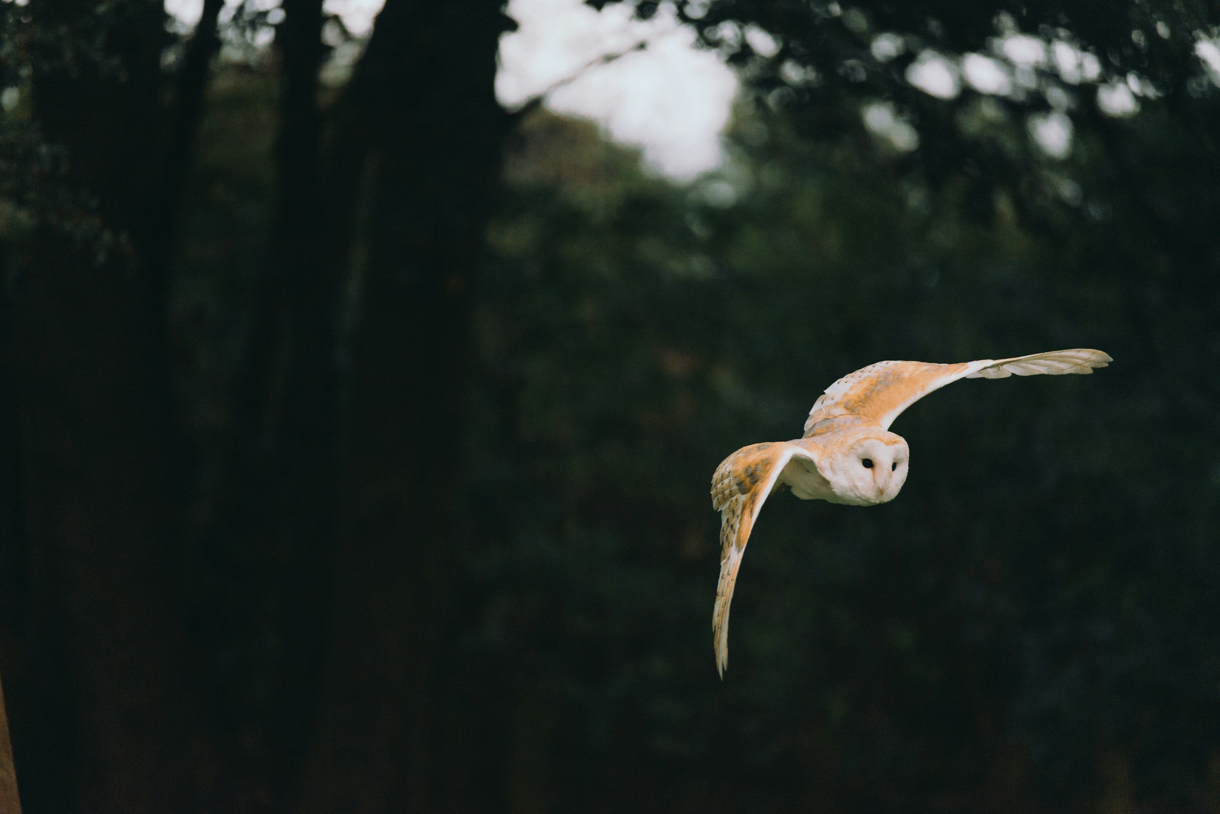 unsplash-image-5pYOmALZgtM.jpg