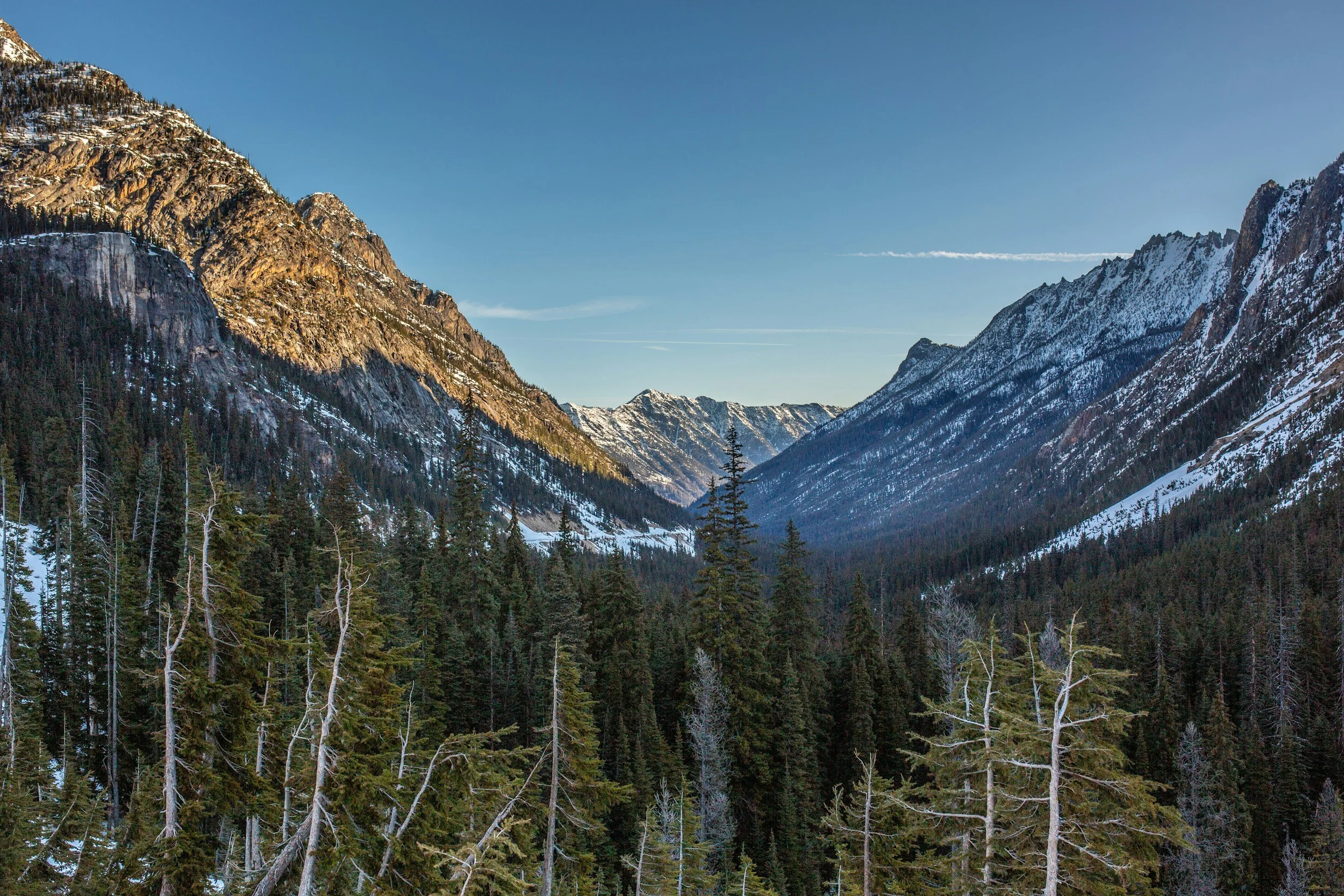 Snow-capped mountains and dense evergreen forest in a scenic valley under a clear blue sky.