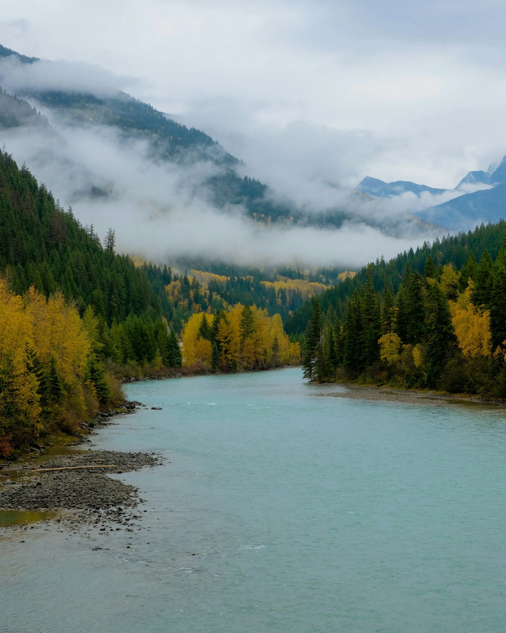 A river flowing through a valley with dense green trees, surrounded by mountains covered in mist.