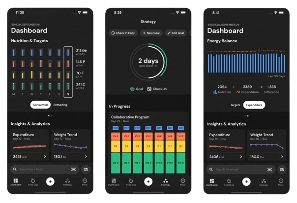 Screenshots of mobile health management app with dashboards displaying nutrition, energy balance, and analytics data.